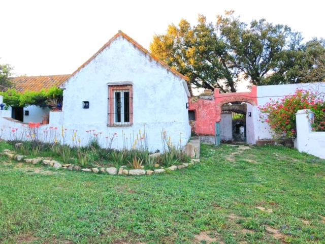 La Casita del pintor photo 5