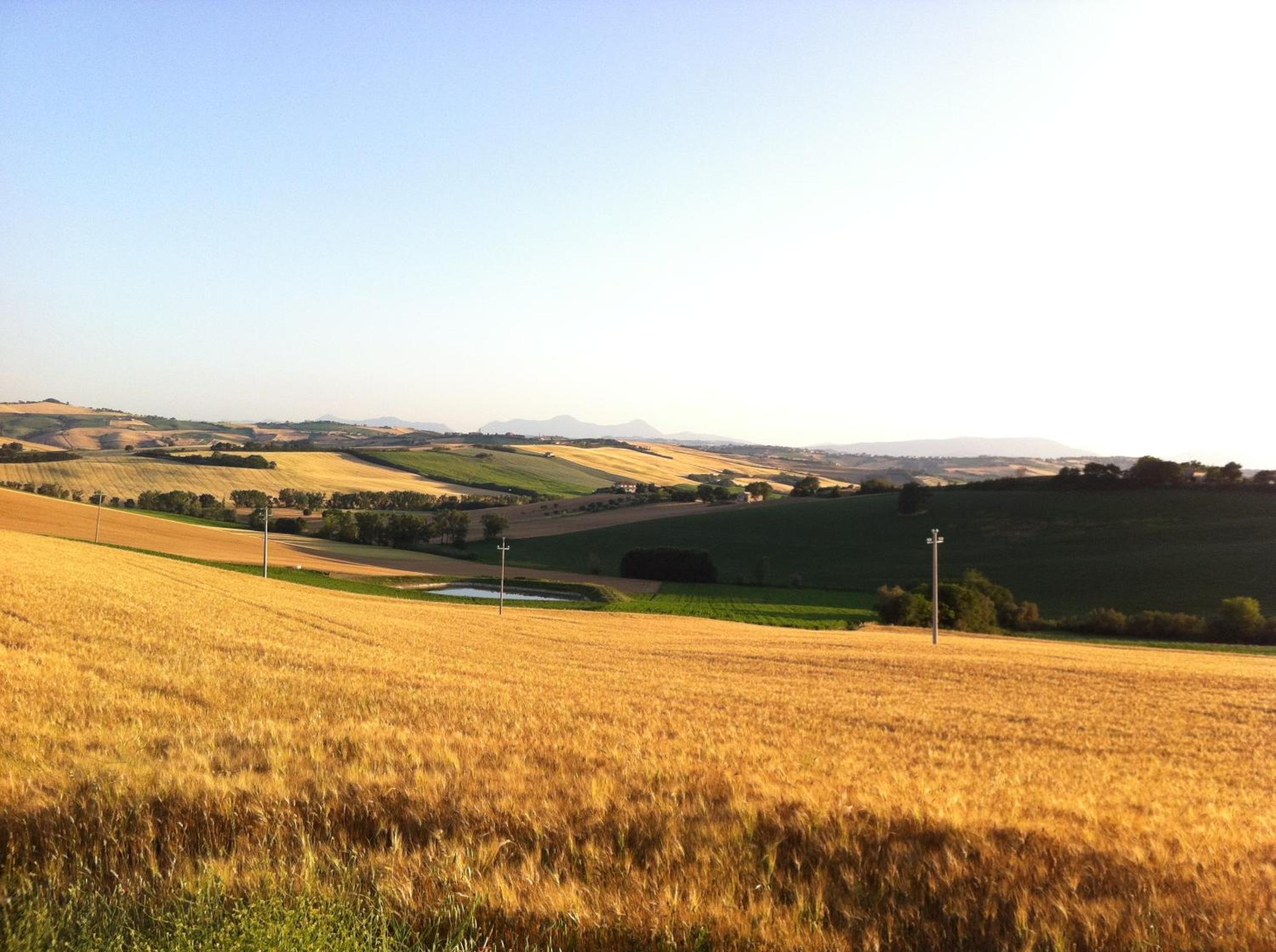 Agri Divin Amore view 4