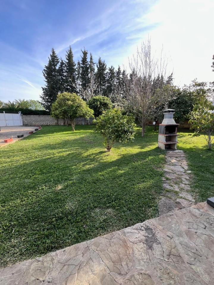 Photo 21