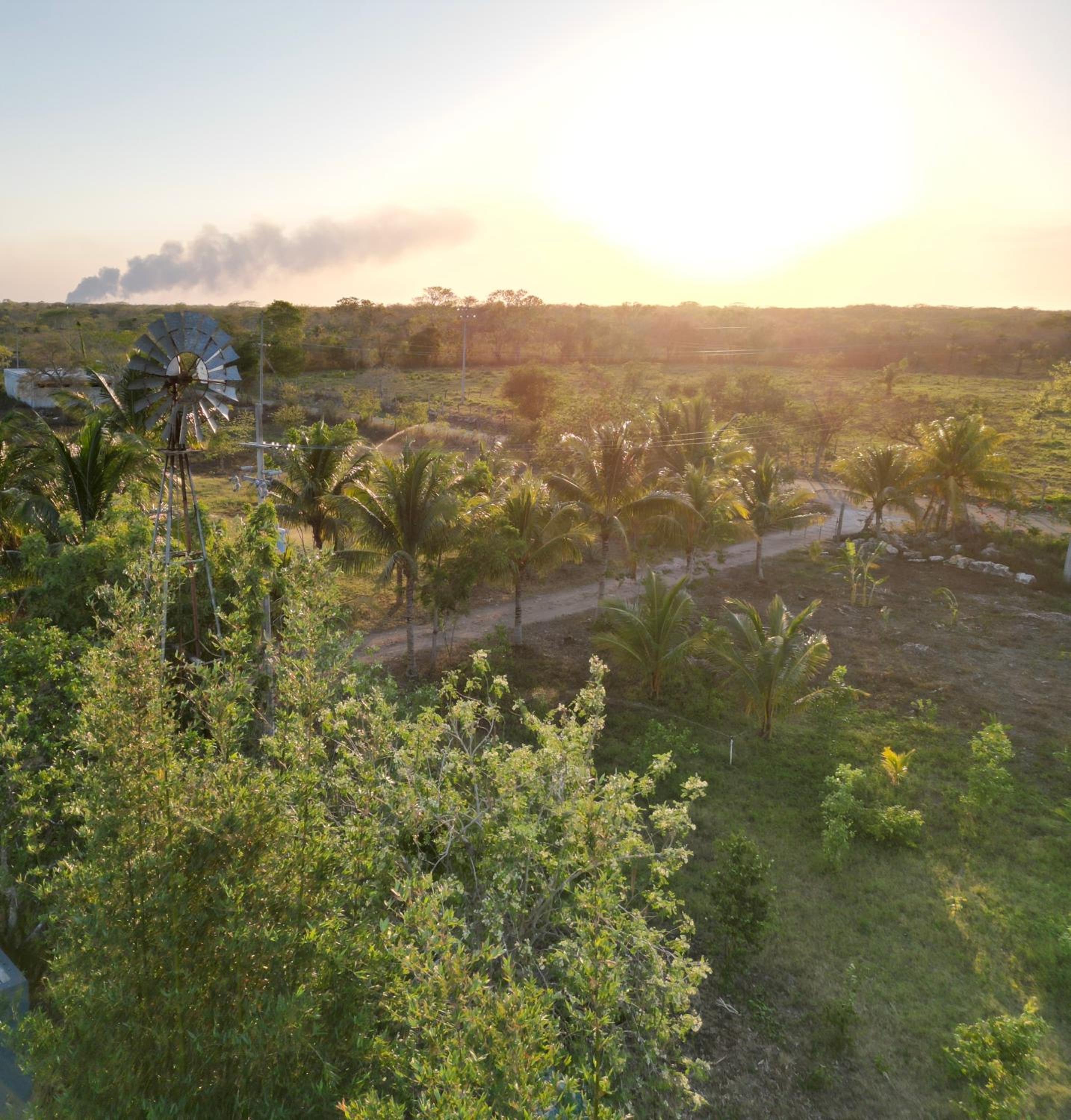 Casitas at Rancho Kuxtal view 2