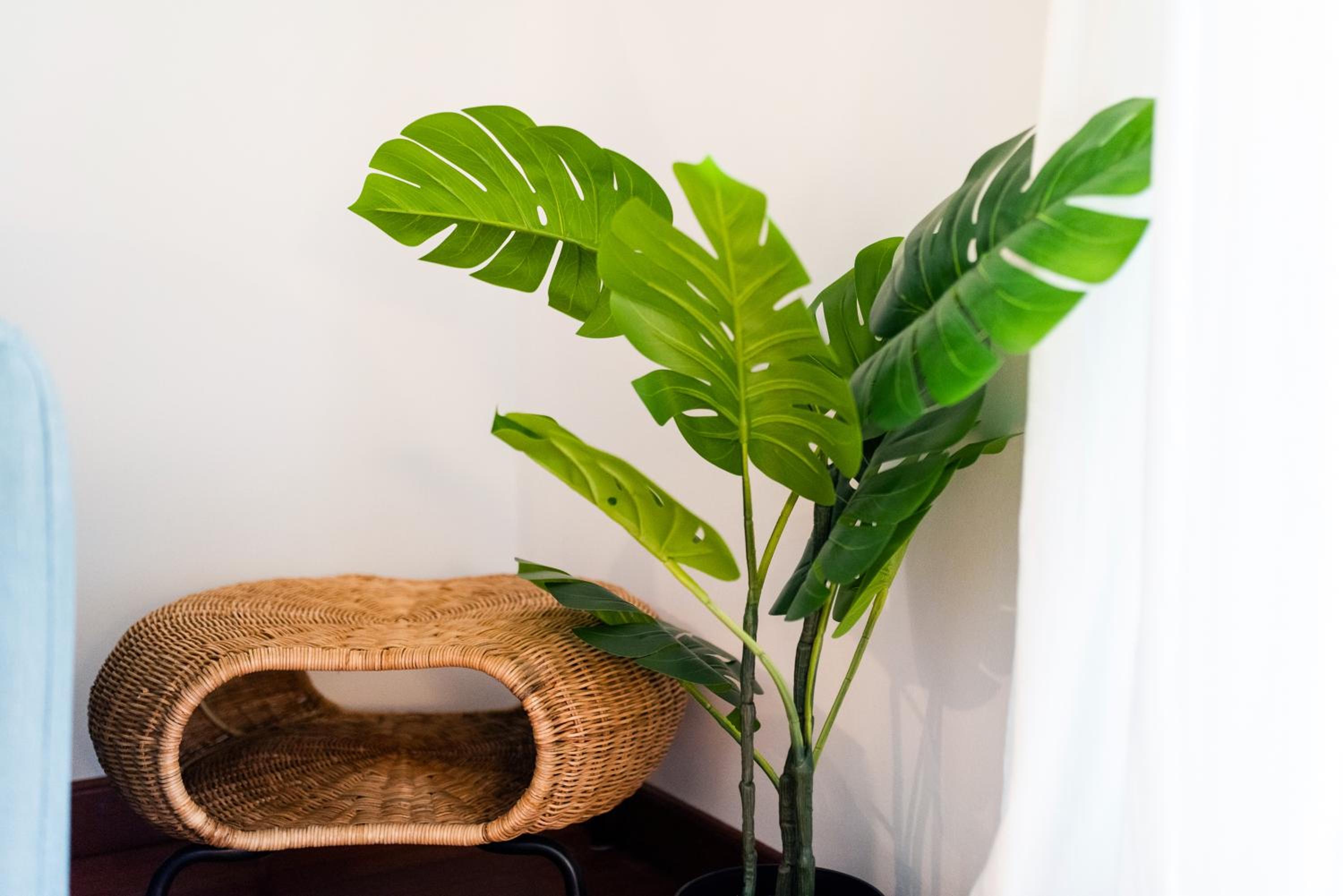 Apartamento con Encanto, Centro Granada