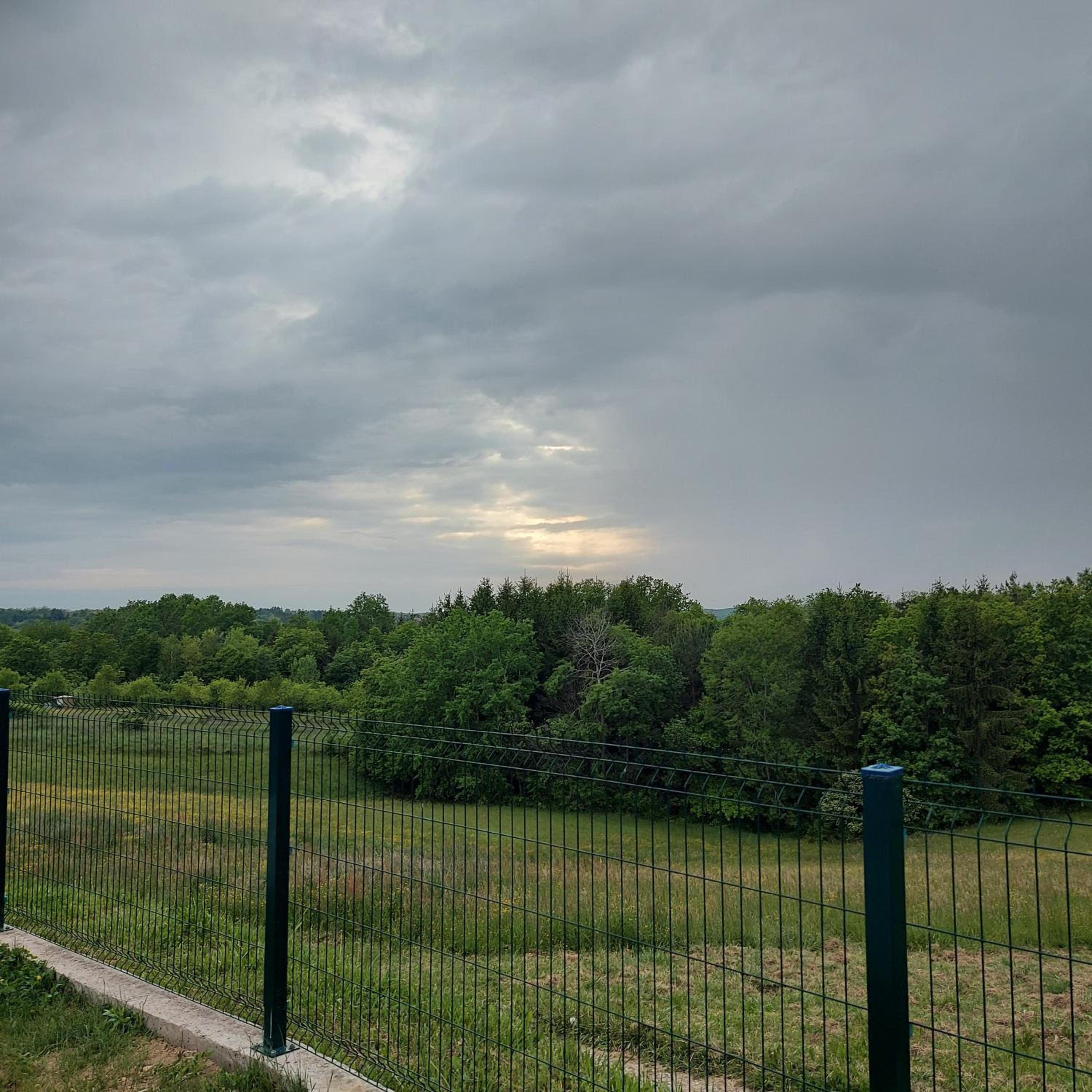 Photo 44