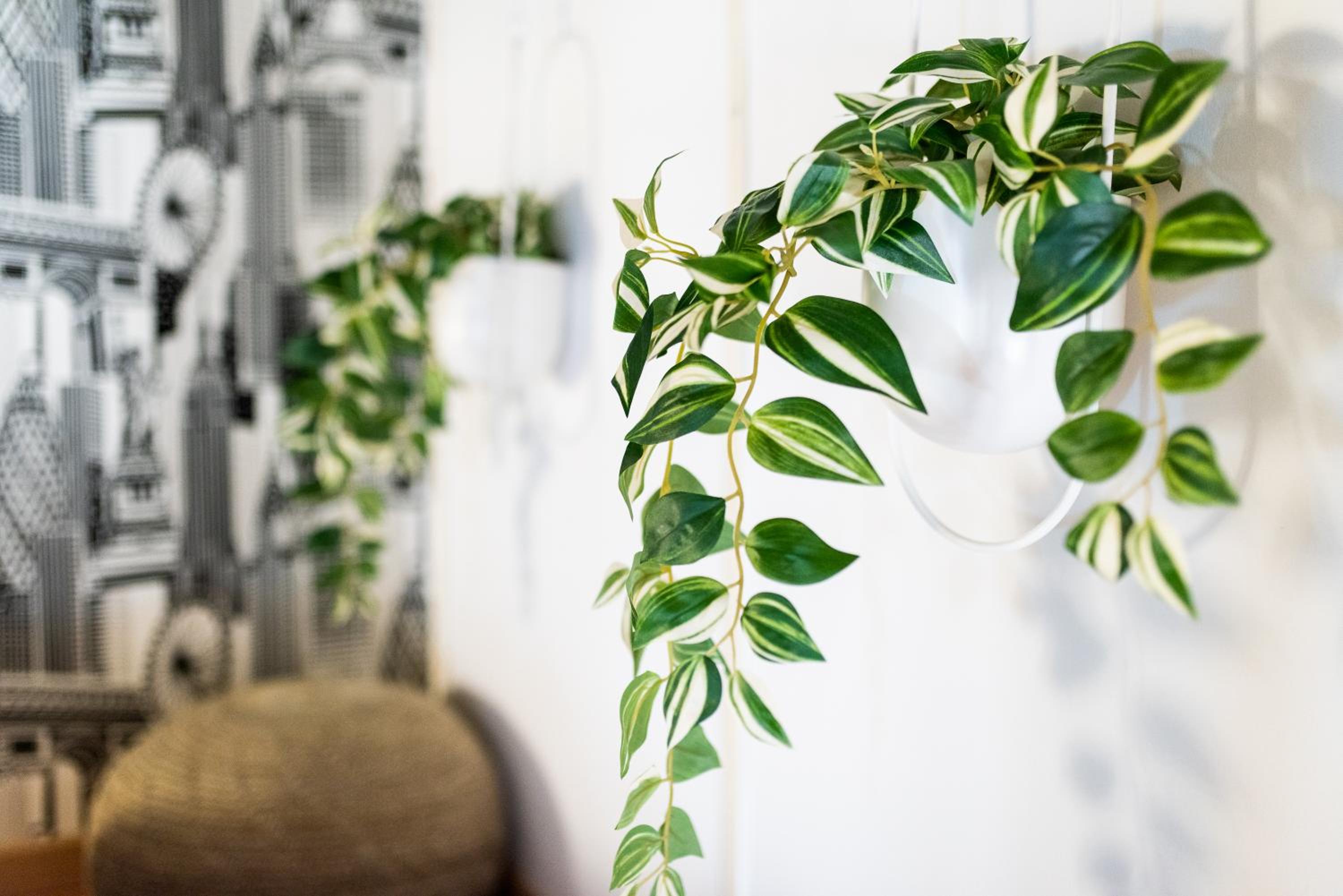 Apartamento con Encanto, Centro Granada