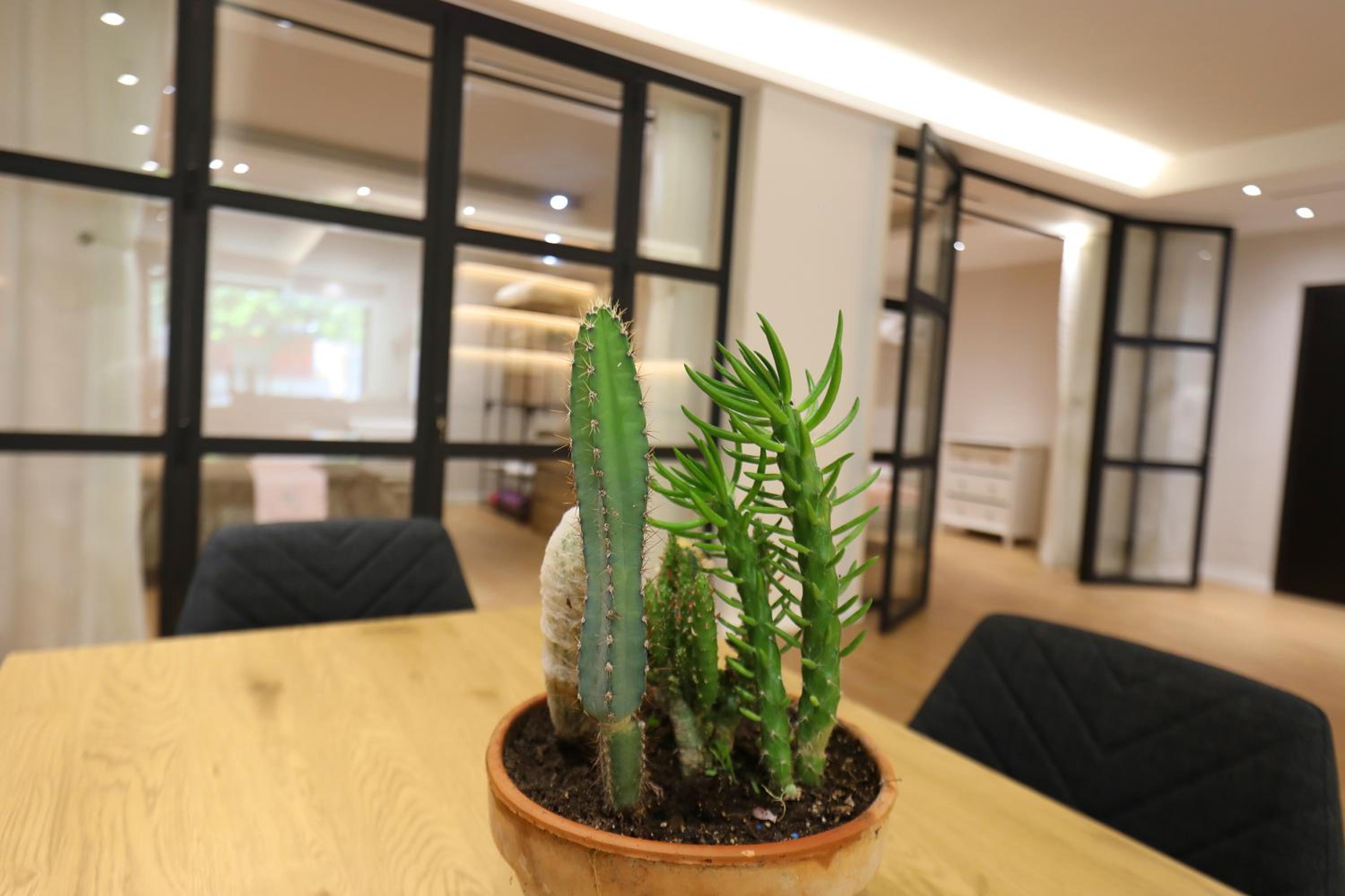Amantia Apartment