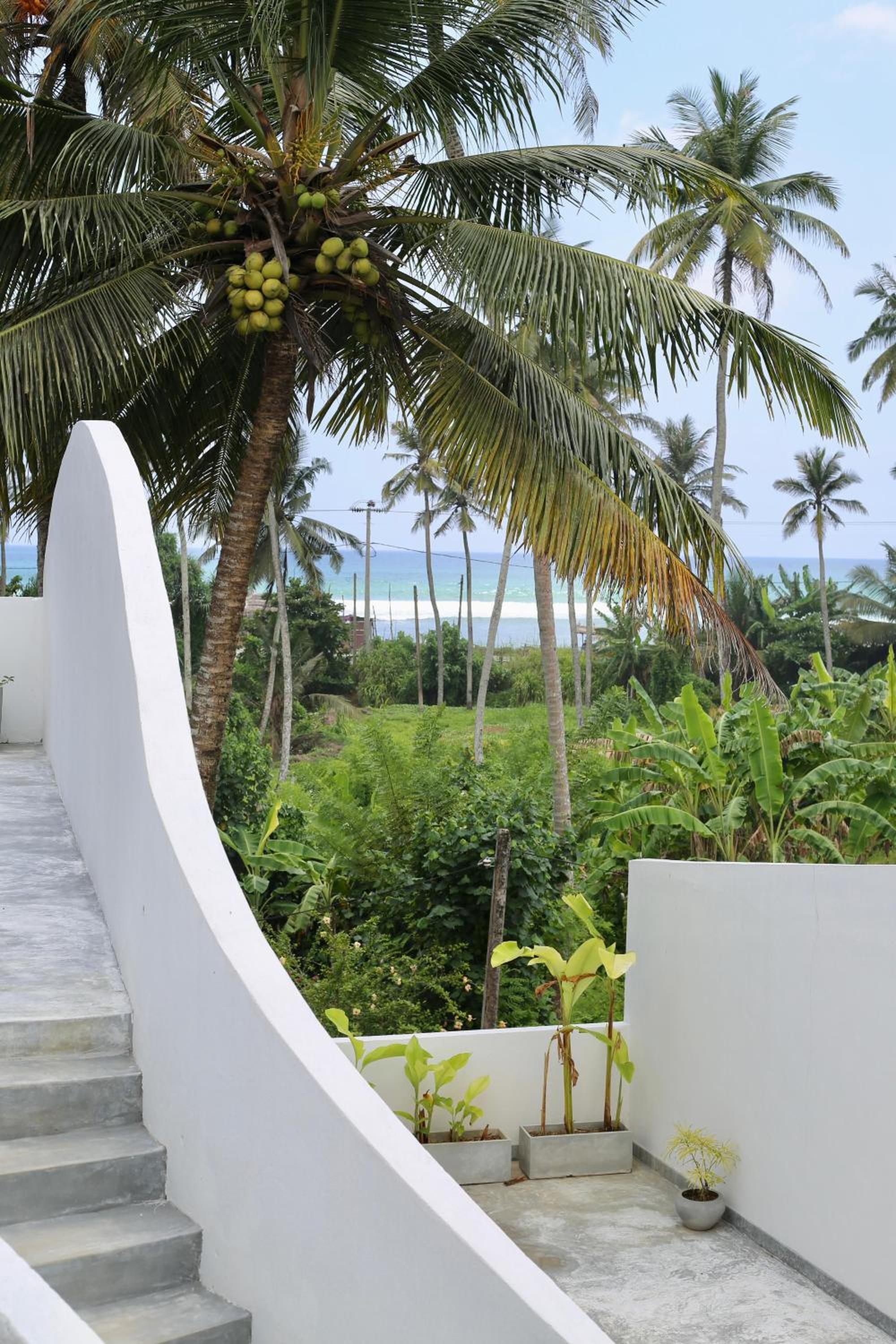 Swallow villa - French guest house-ADULTS ONLY view 4