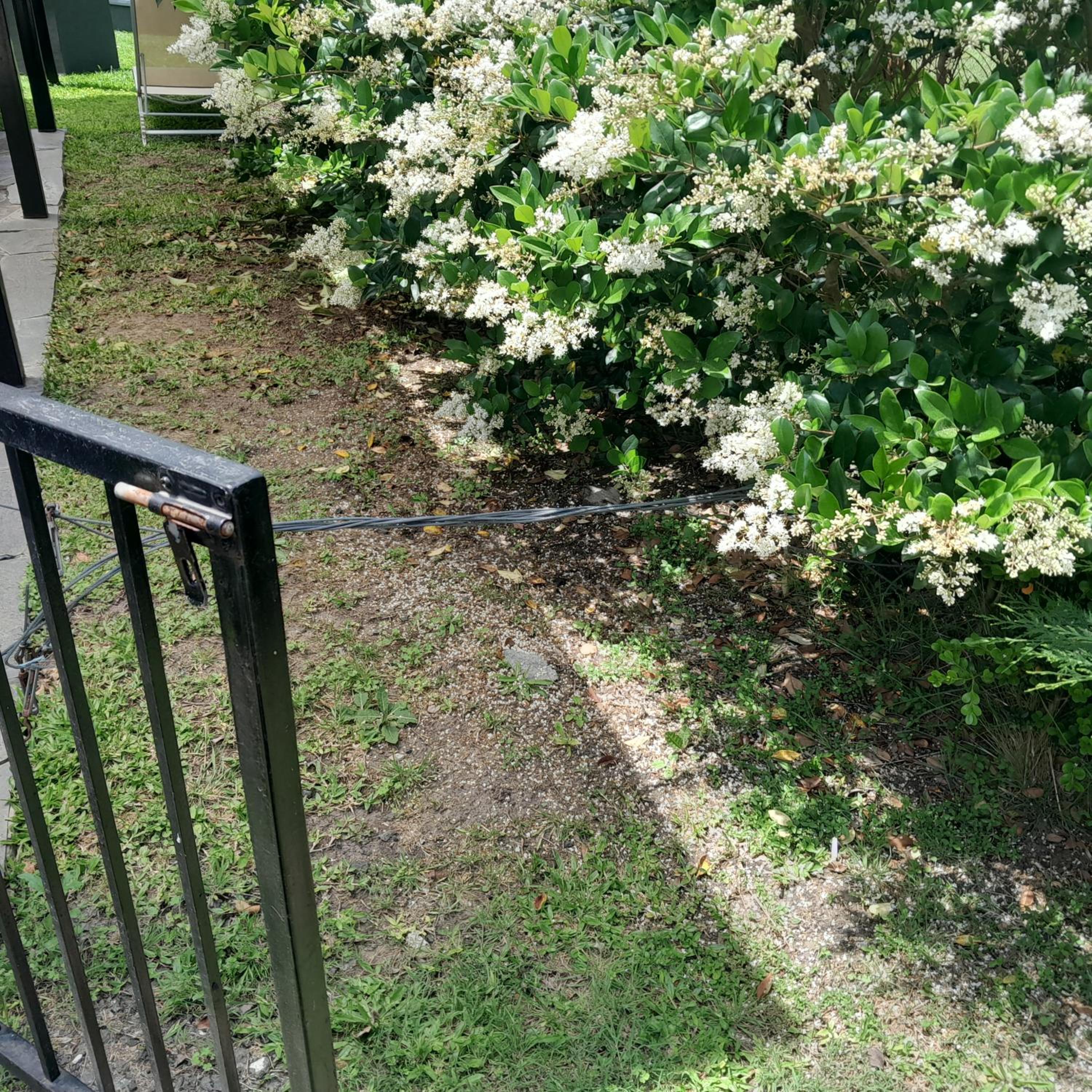 Canning House 3 bed 2 bath with park and grill