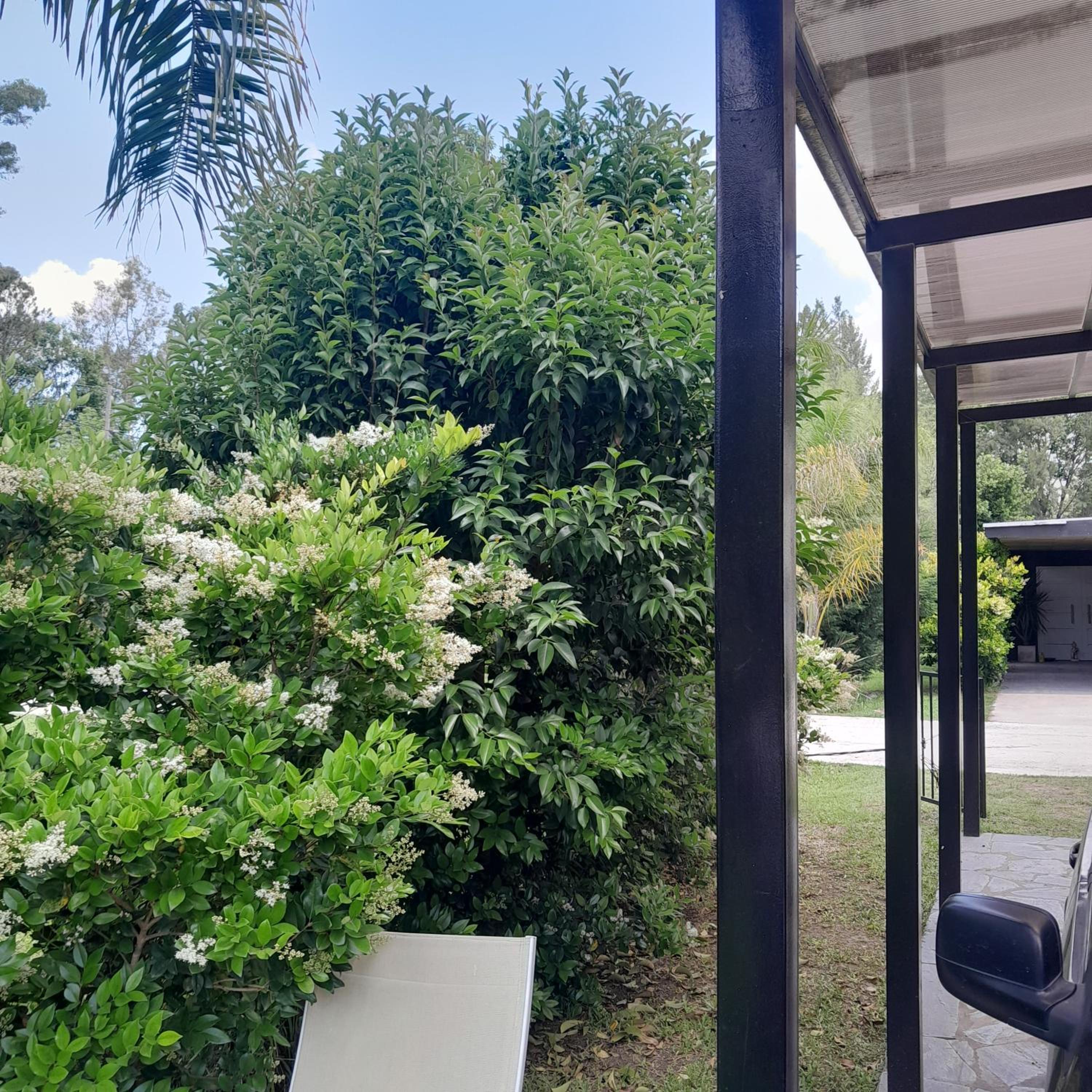 Canning House 3 bed 2 bath with park and grill