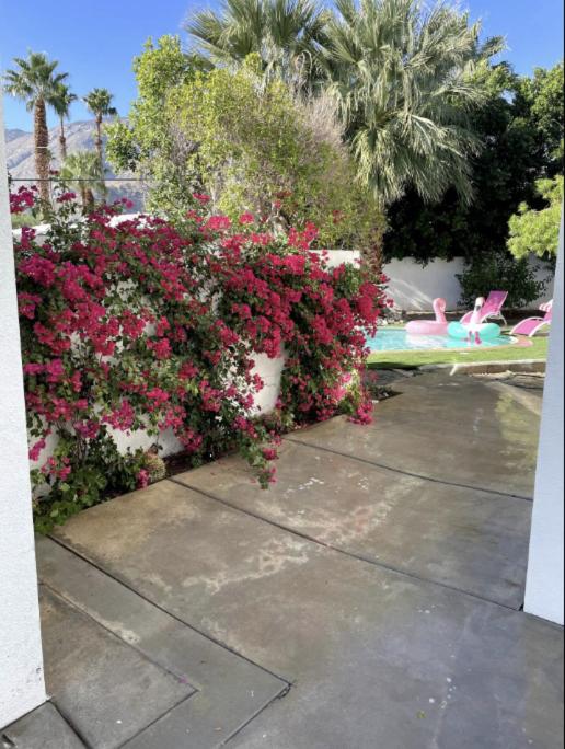 The Pink Paloma - A Barbie Inspired Villa in Palm Springs view 3