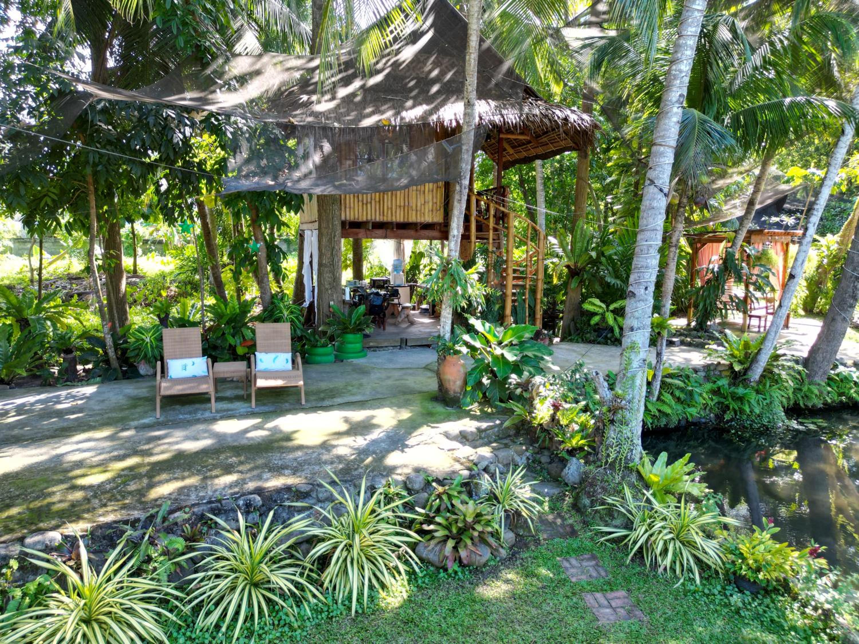 Dumaguete Oasis Treehouse, near airport and mall, beside Magsaysay Elementary School view 2