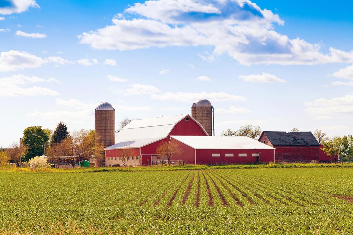 The Farm