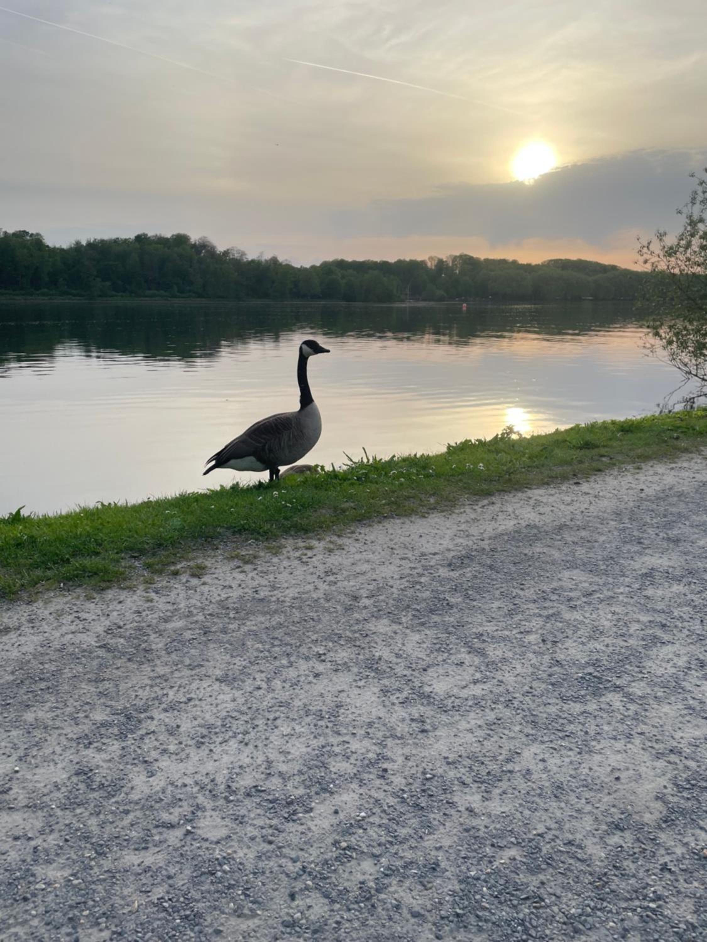 Villa direkt am Baldeneysee keine unerlaubten Parties
