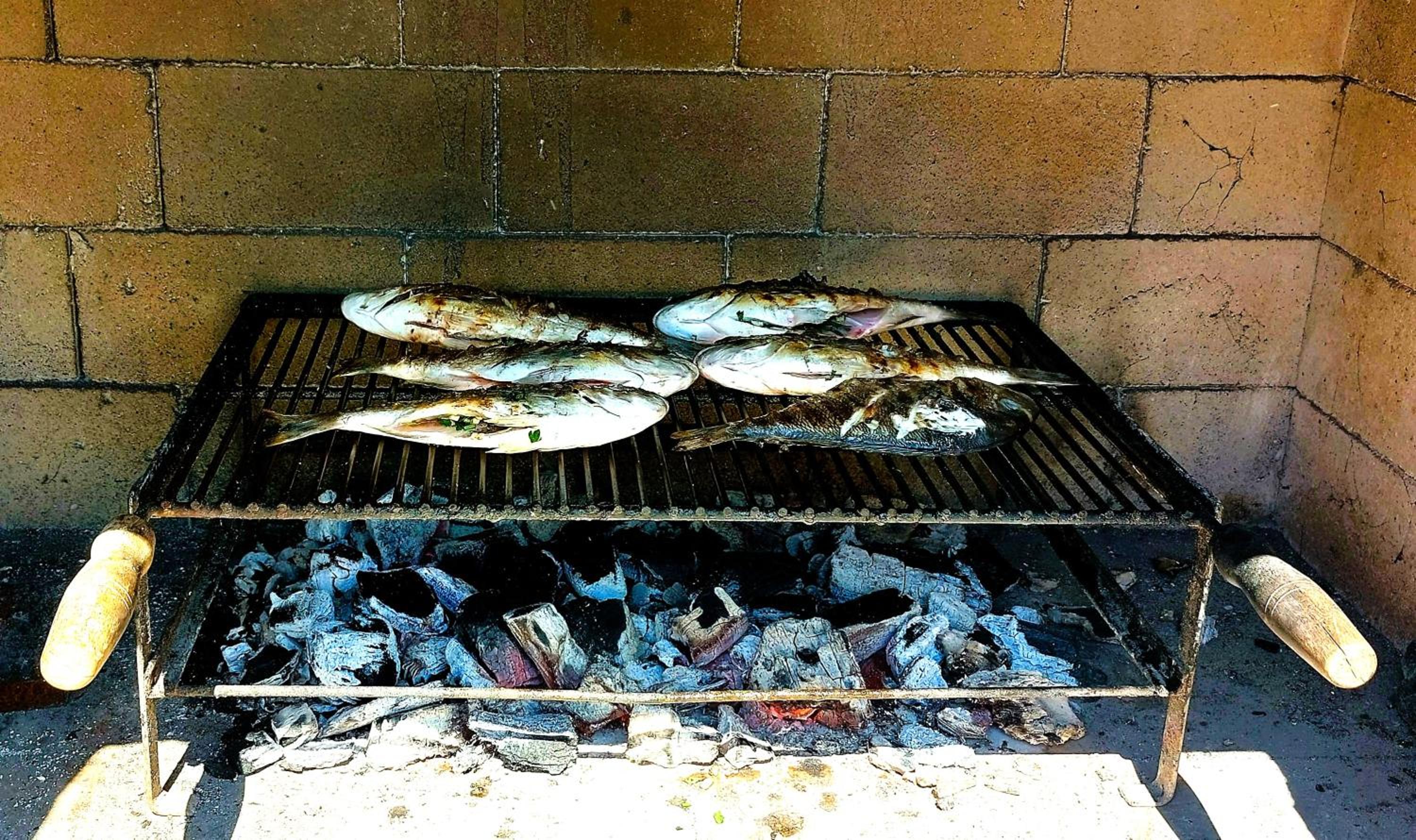 Photo 40