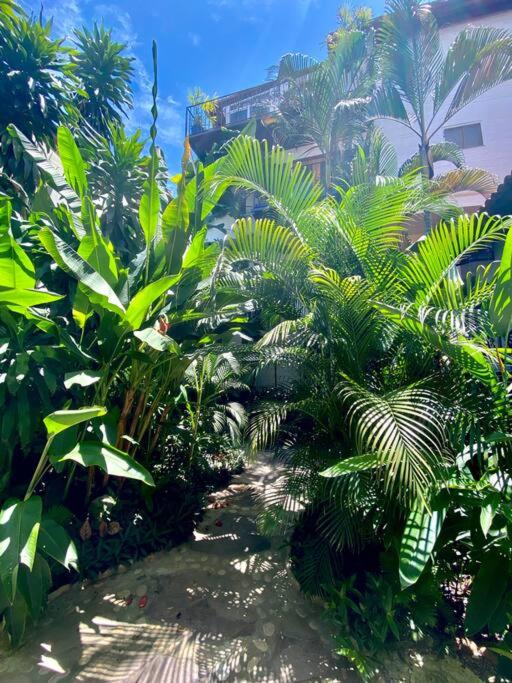 Studio Jardin Secret - Charming Garden