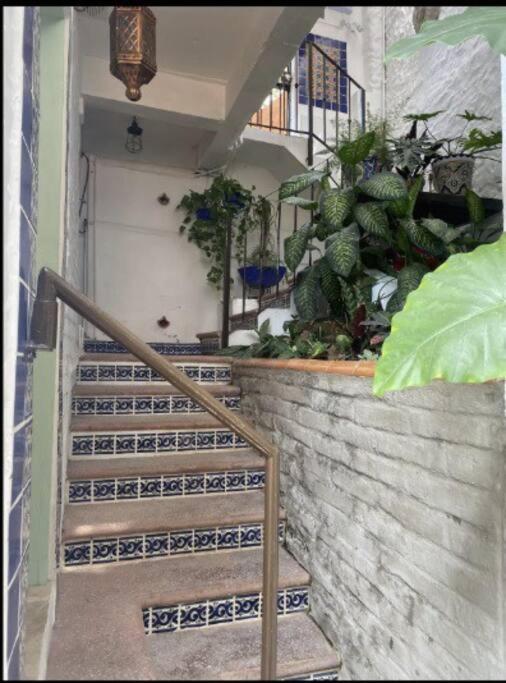 Studio Jardin Secret - Charming Garden