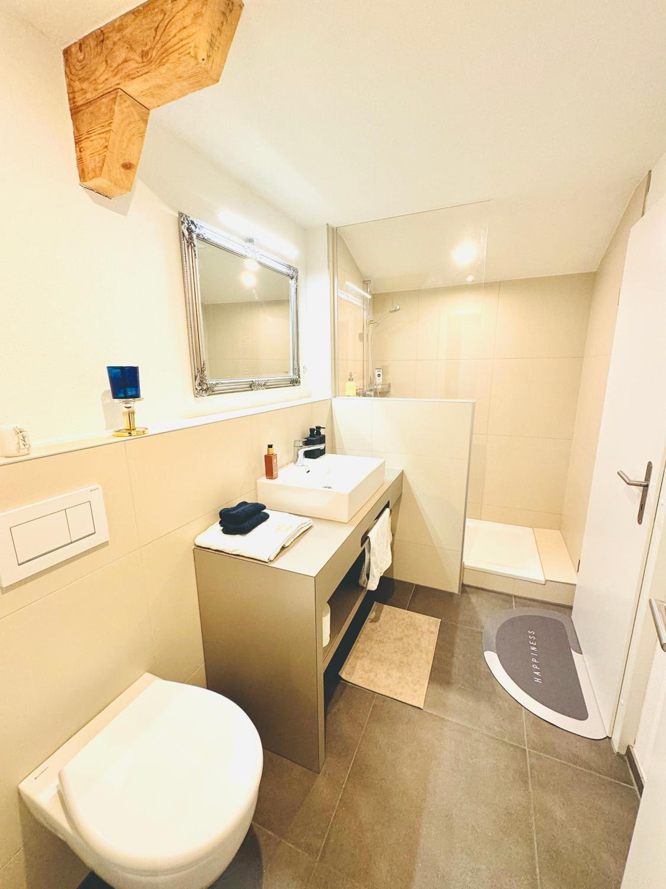 Bellevue & Classy Mountain View apartment
