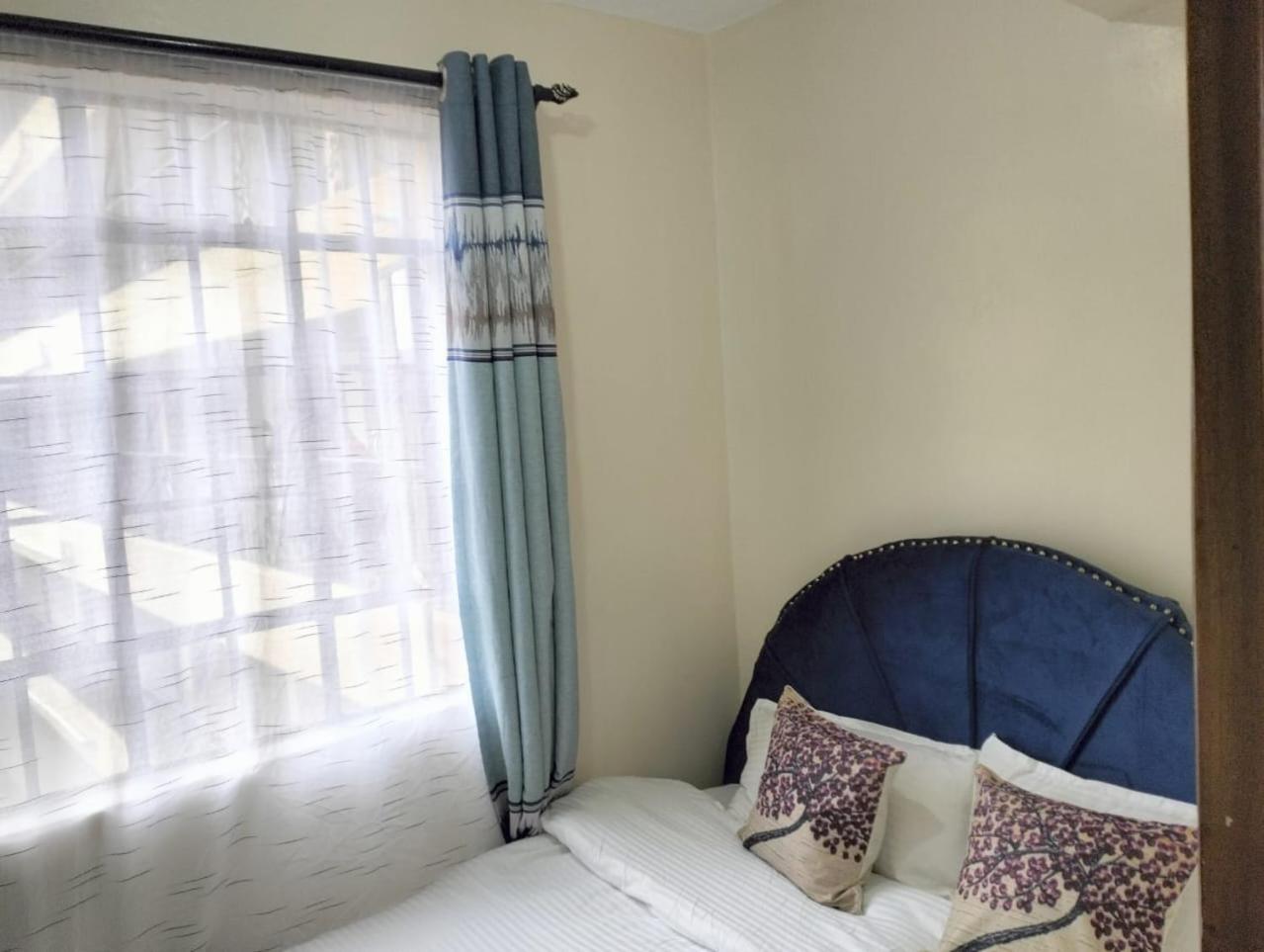 Tamara studio bedsitter, Nyanchwa Kisii view 3