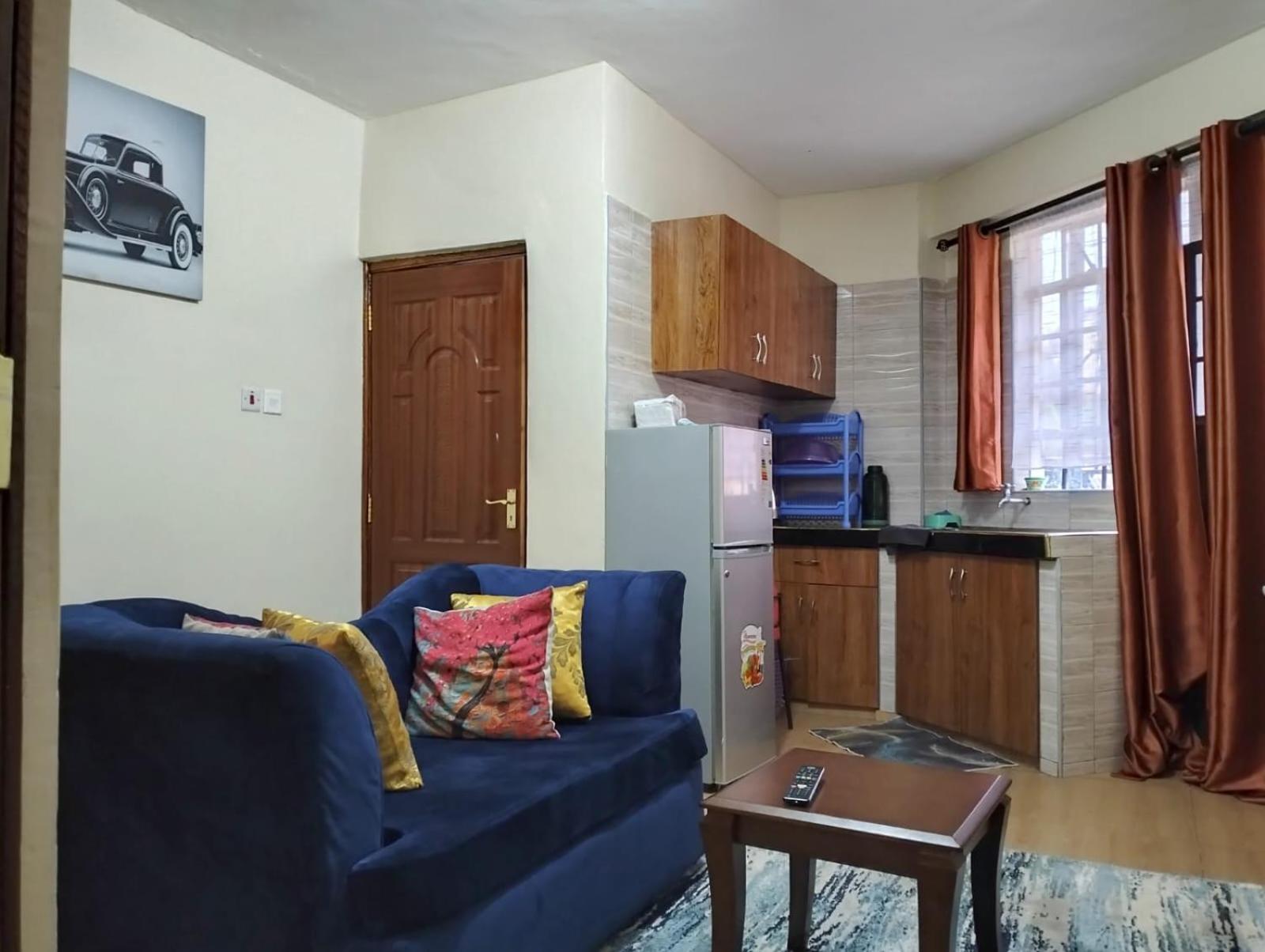 Tamara studio bedsitter, Nyanchwa Kisii view 4