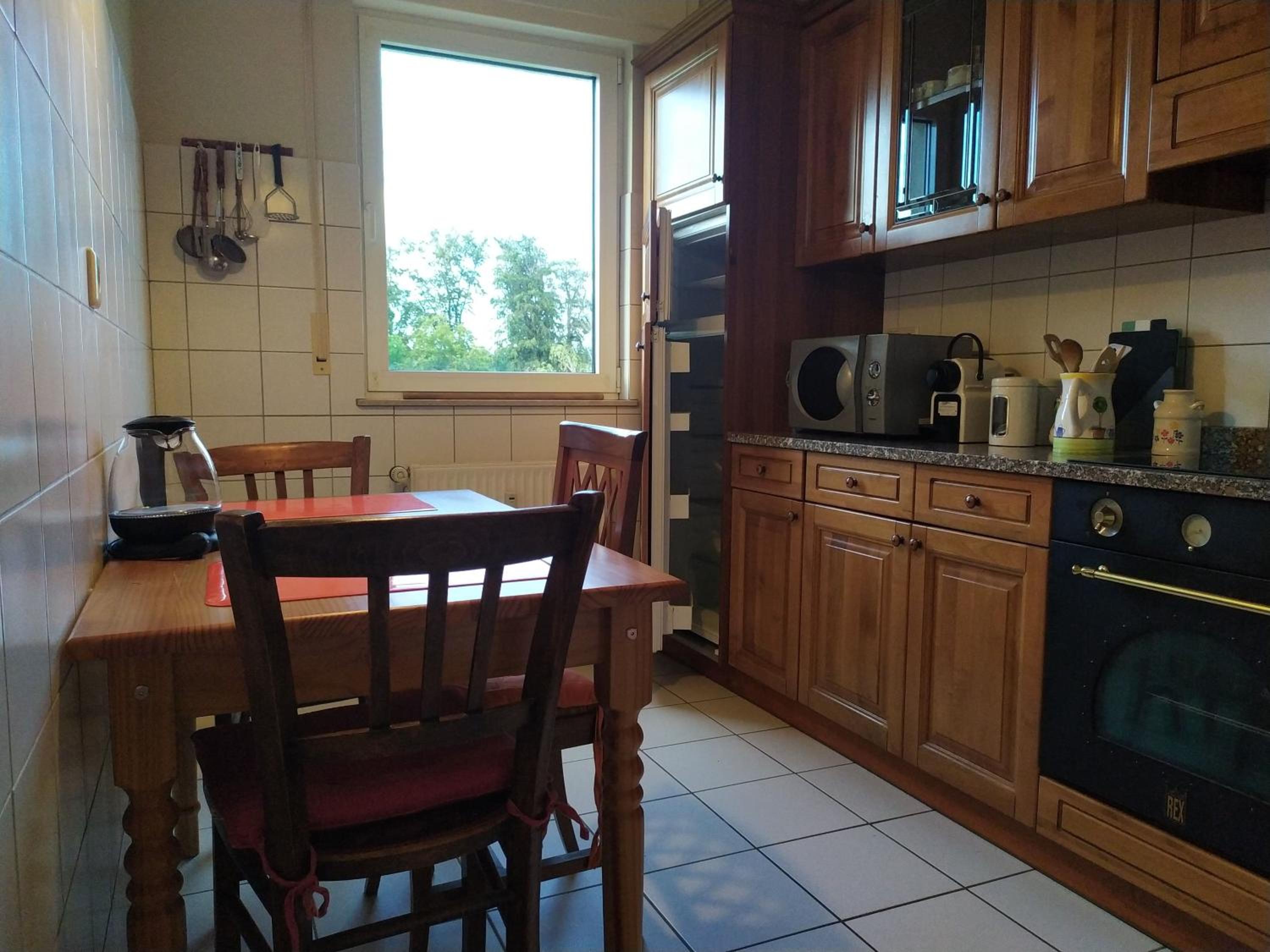 QUIET PEACEFUL 2BR apartment with parking in KIRCHBERG view 4
