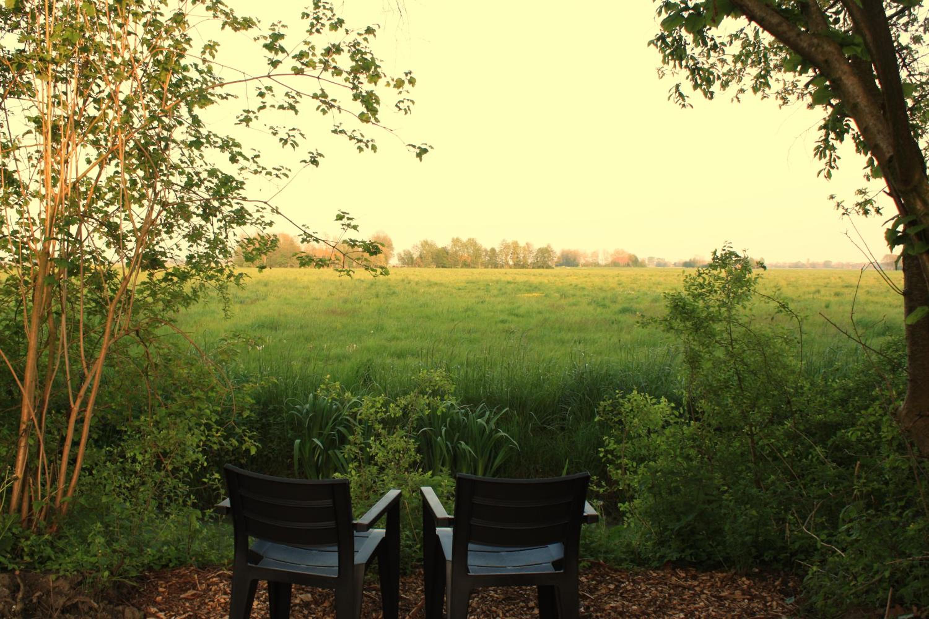 Finse Kota's Schotererf view 4