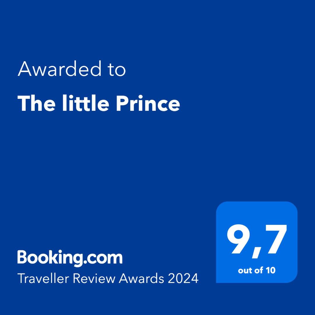 The little Prince photo 4