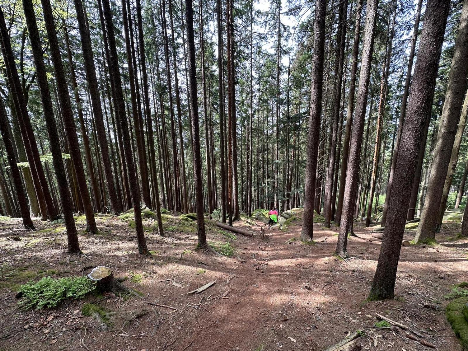 SNOW LAKE Lipno