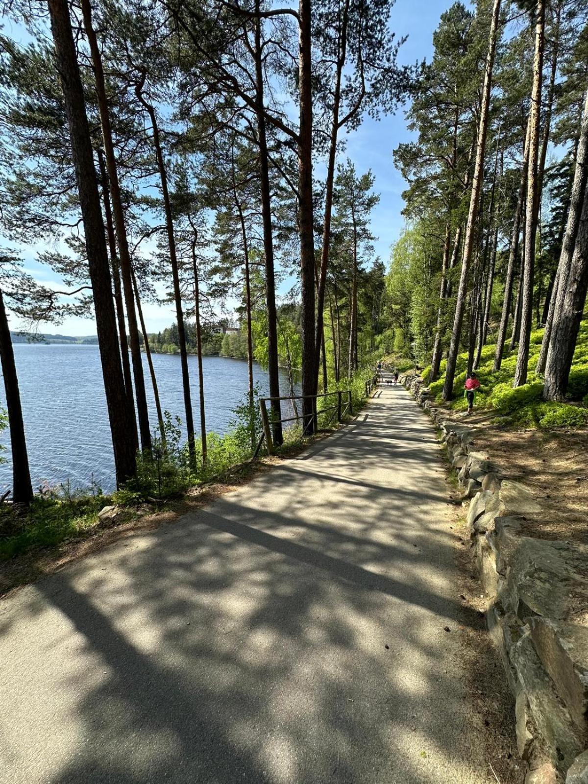 SNOW LAKE Lipno