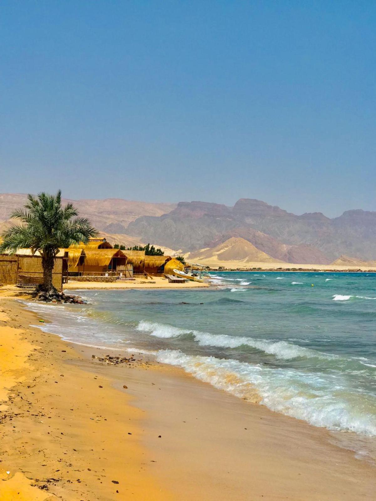 Taba Vacations - Sayal Camp - Property Image 3