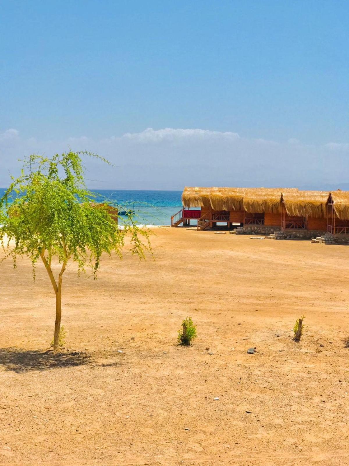 Taba Vacations - Sayal Camp - Property Image 8