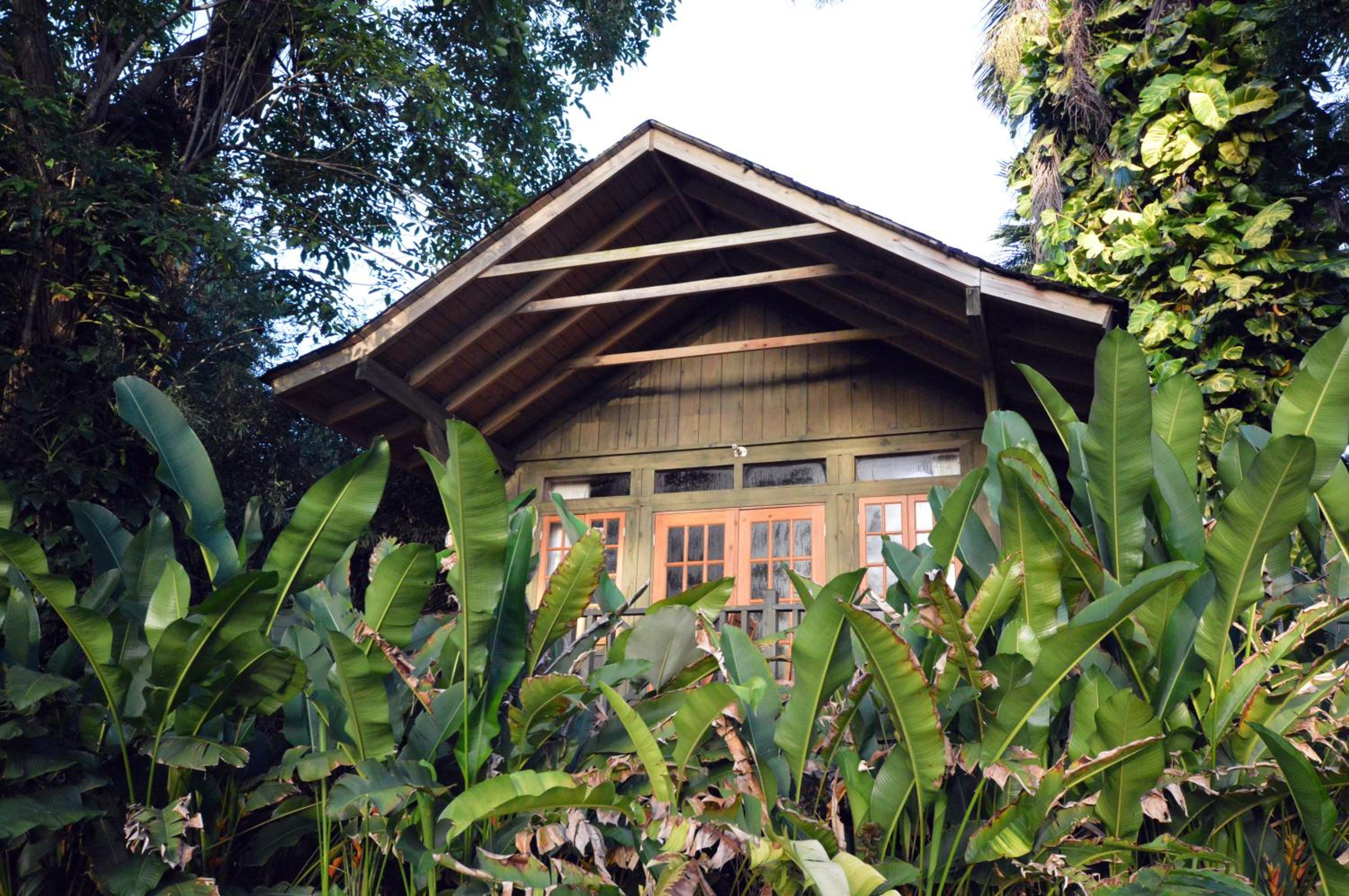 Jamaica Vacations - Sunset at the Palms Resort - Adults Only - All Inclusive - Property Image 31