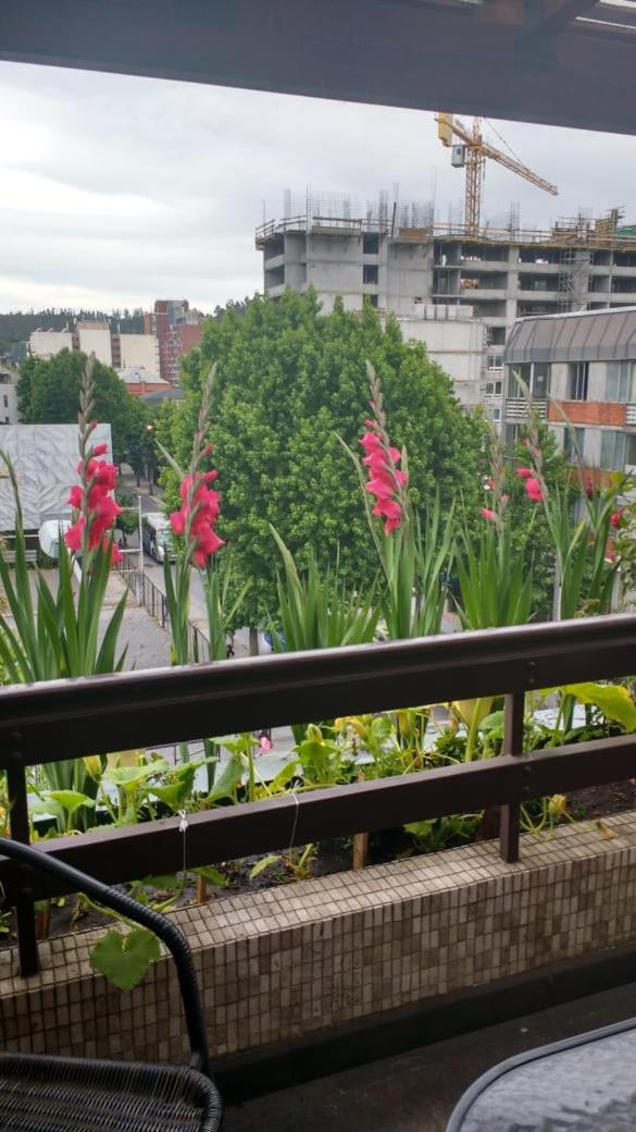 Habitación en Concepción Chile