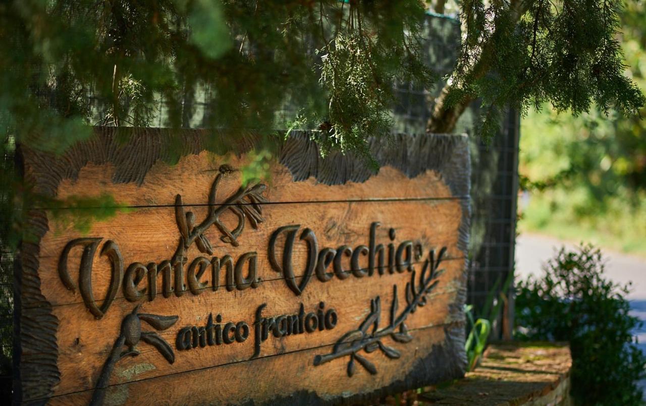 Ventena Vecchia antico frantoio
