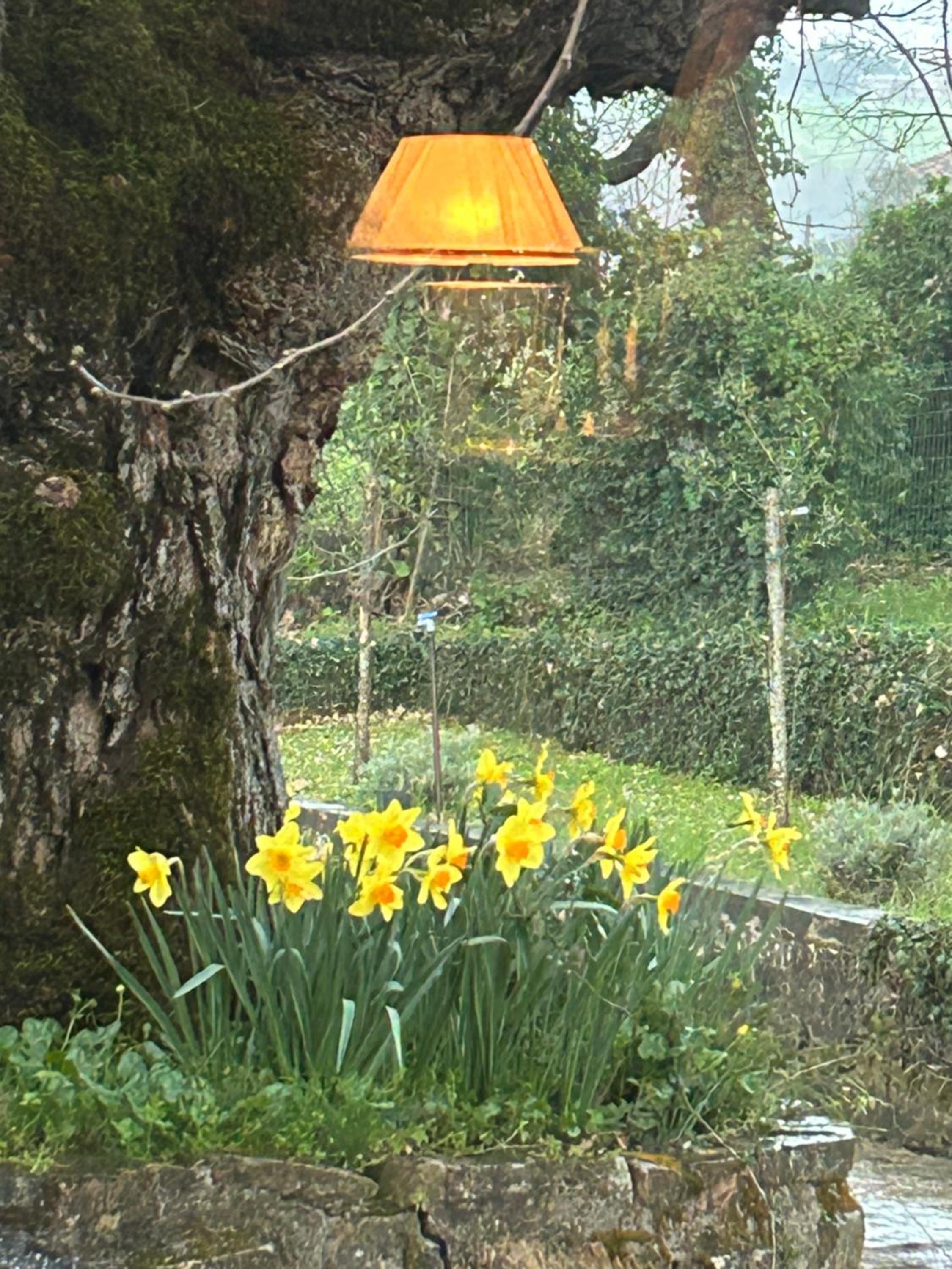Self catering Villa with pool in Umbria, Italy view 5
