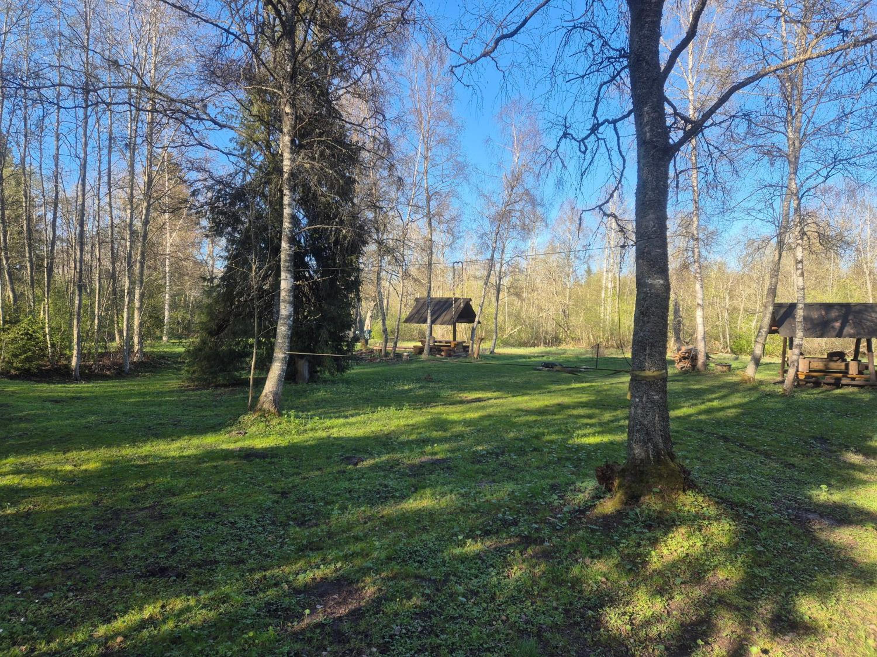 Lonni camping in nature