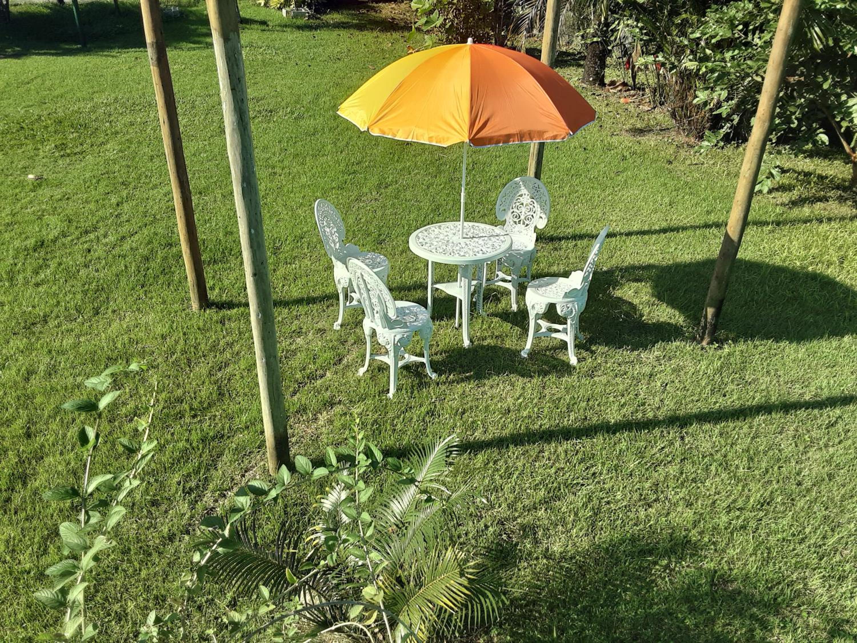 Casa de Praia Massaguaçu! Ao meio Áreas Arborizadas