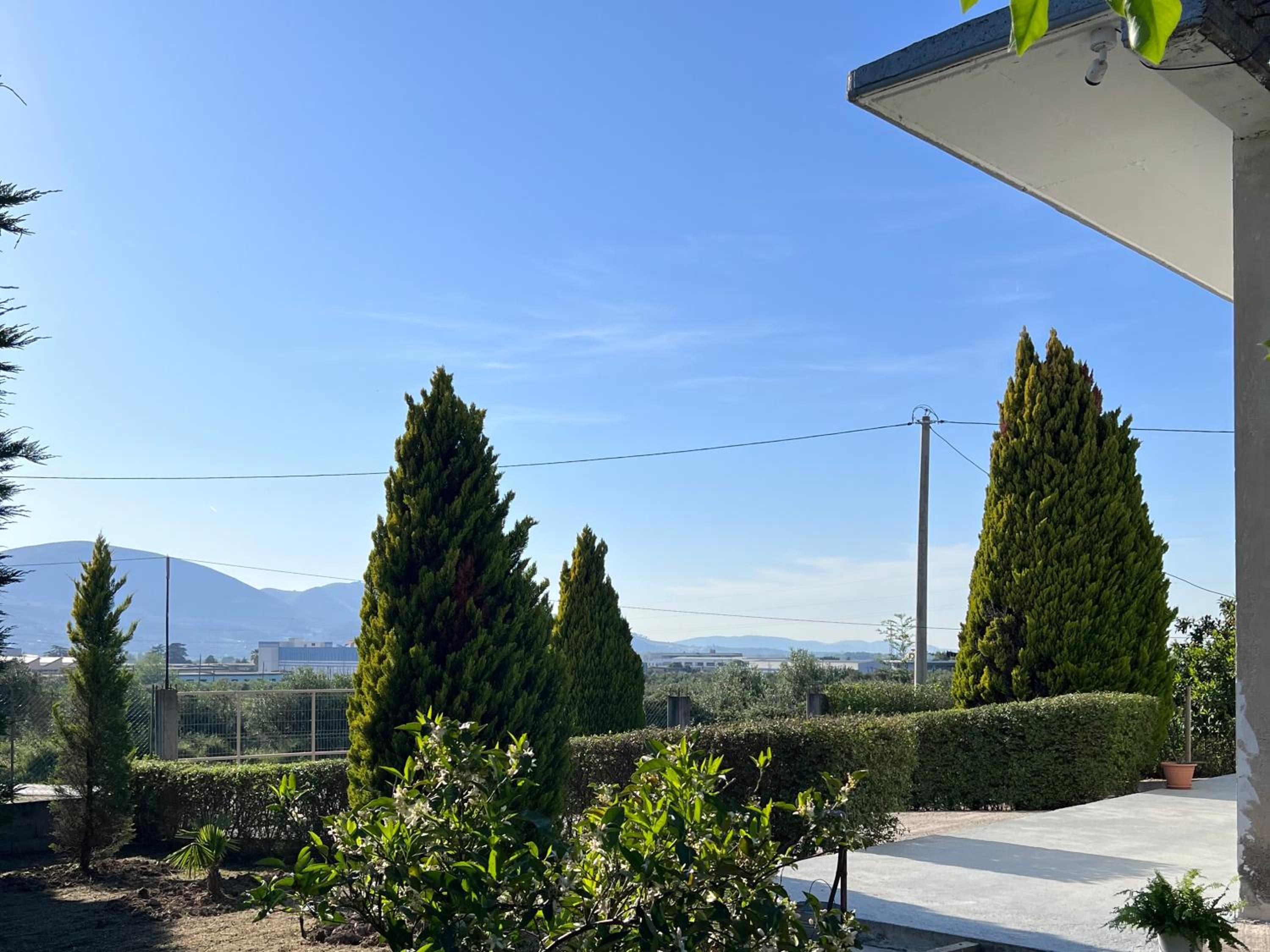 A&A House