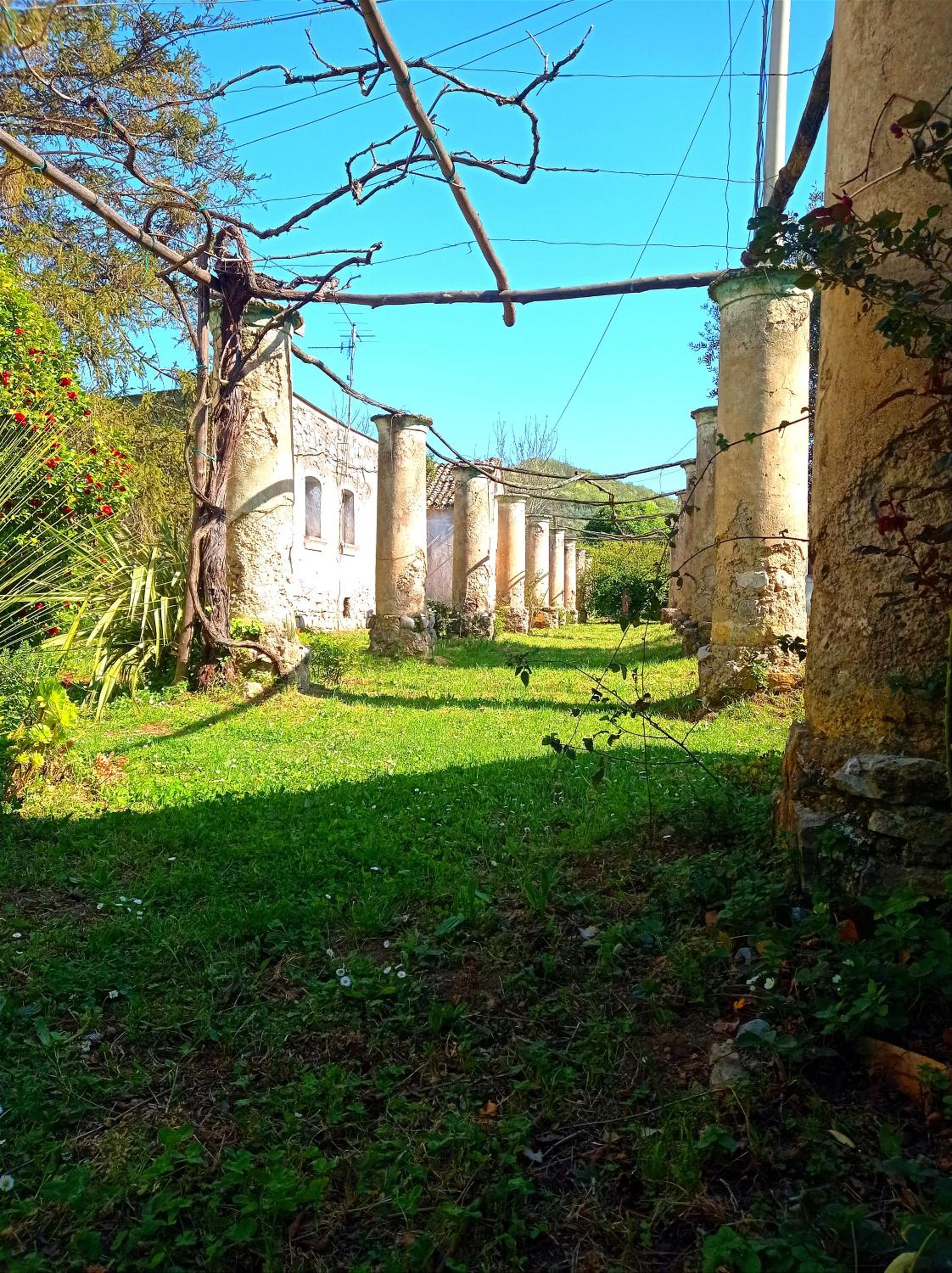 Agriturismo La Selva view 5