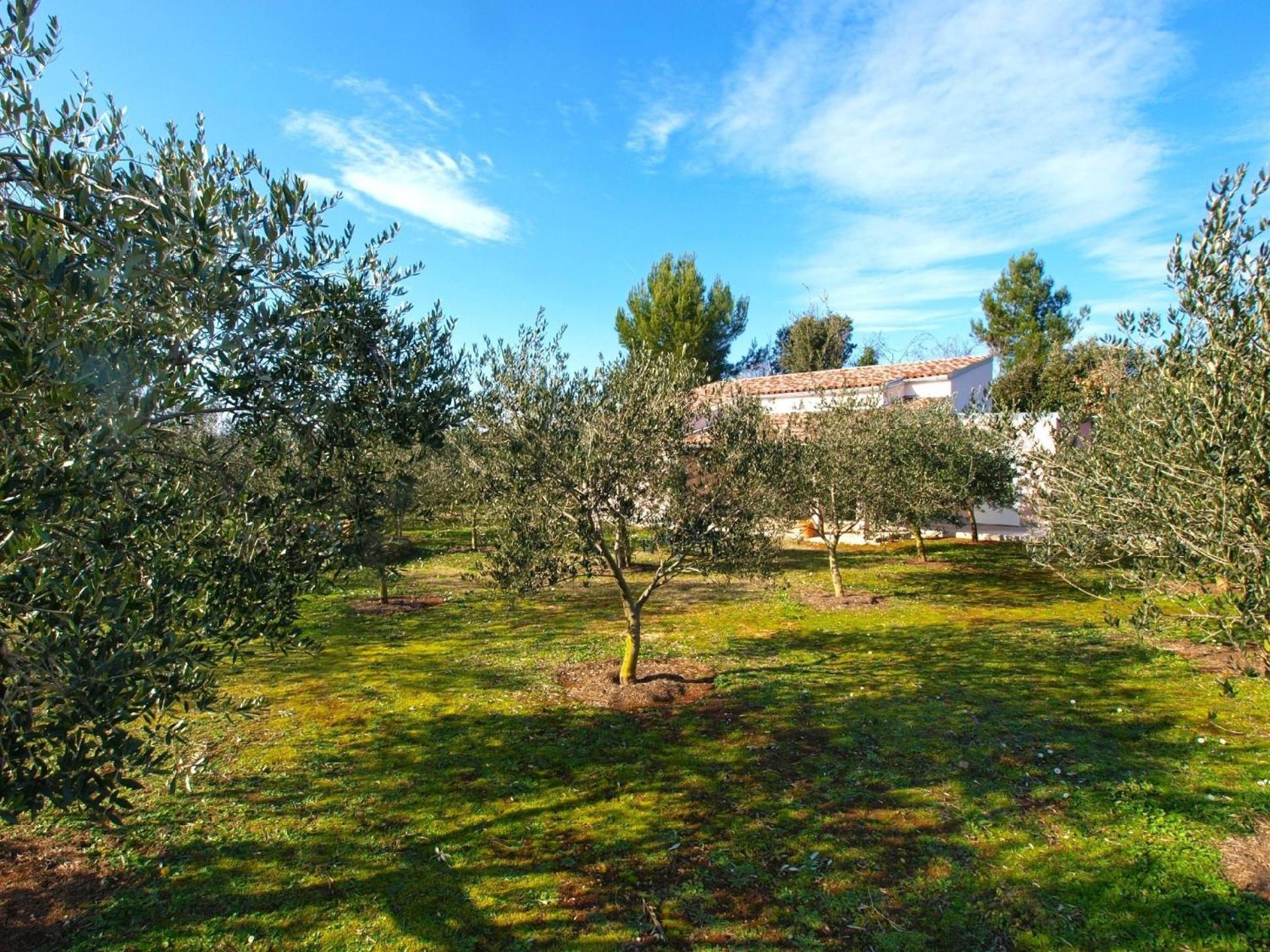 Ferienhaus für 4 Personen ca 50 qm in Ližnjan, Istrien Südküste von Istrien view 2