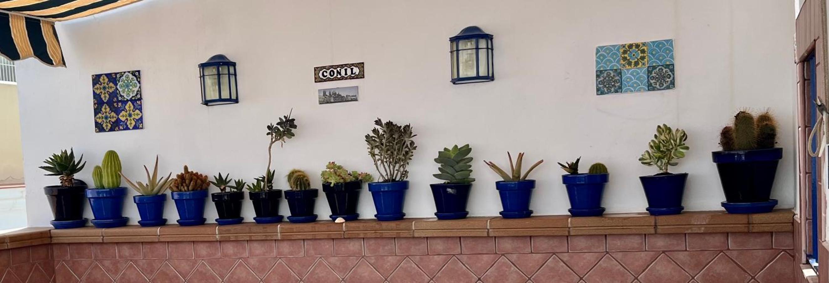 DÚPLEX HUERTA DE ENMEDIO