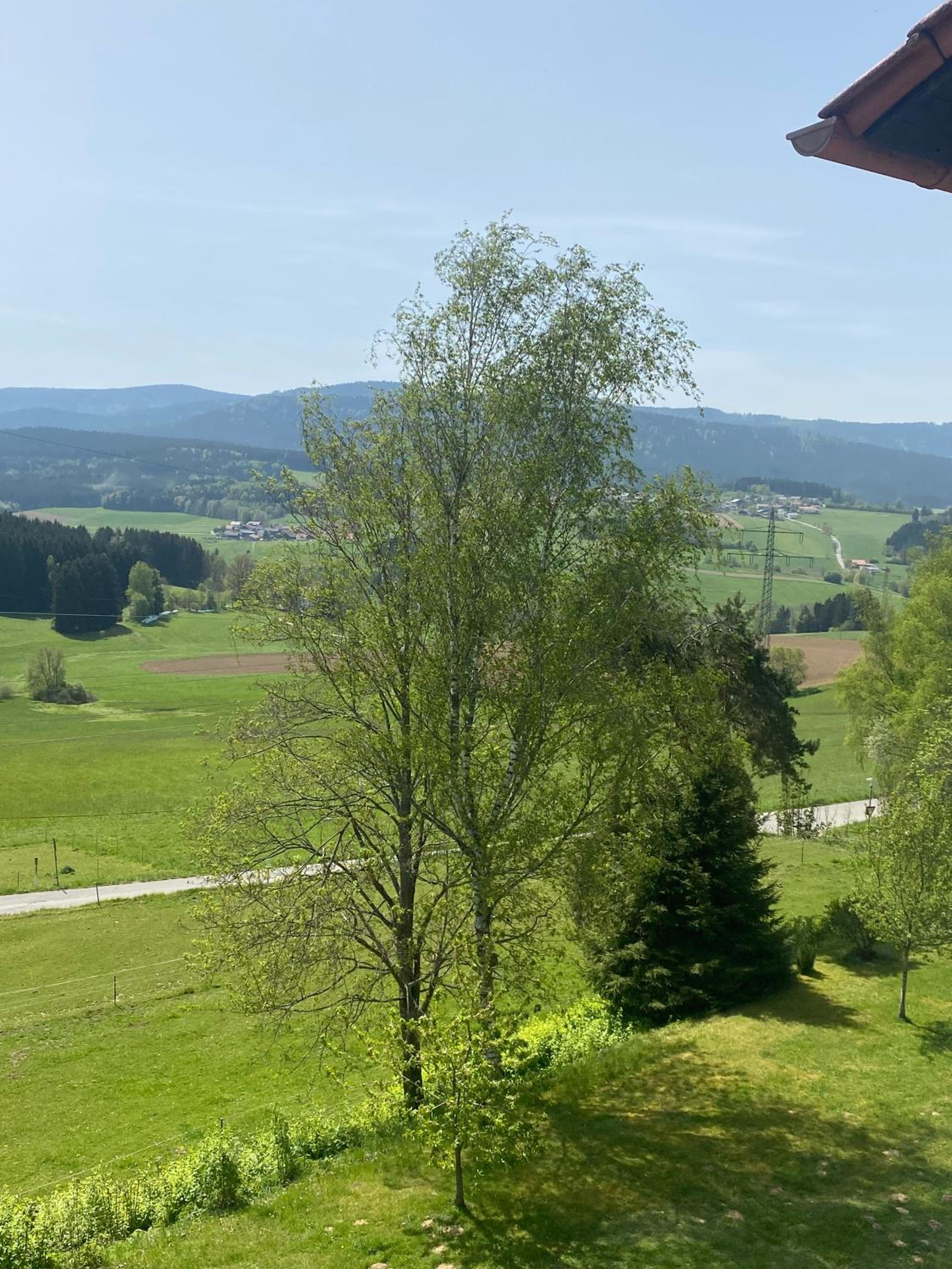 Lussen view 2