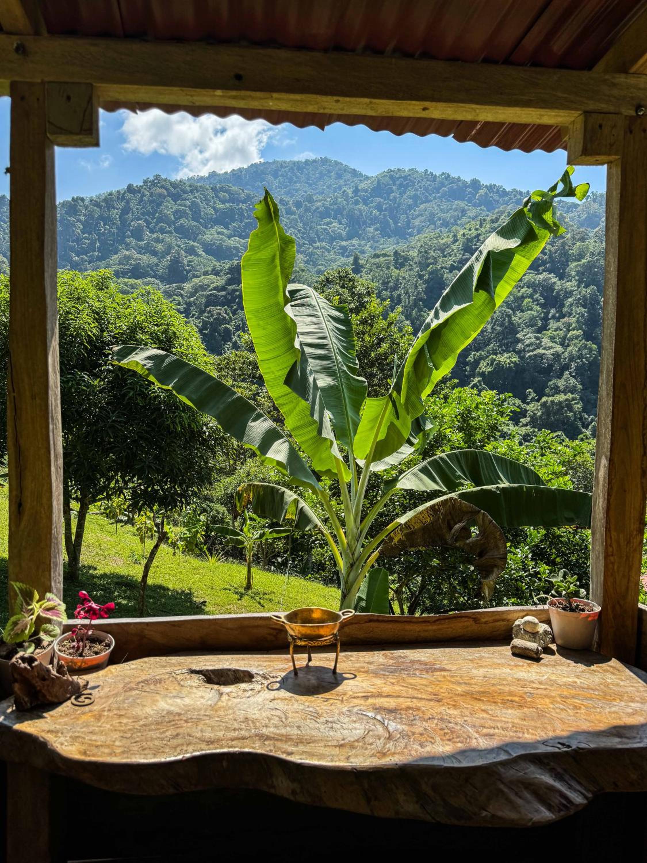 Cabaña Guasale (Toucan)