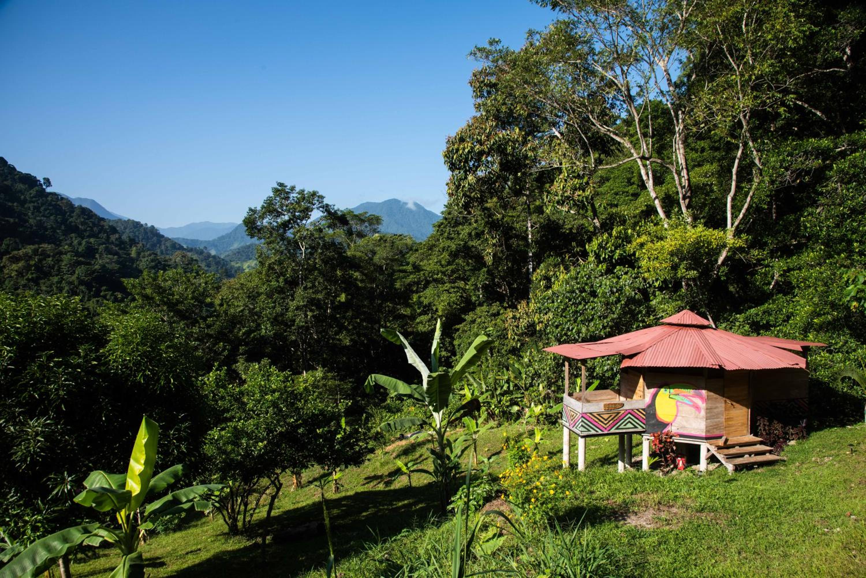 Cabaña Guasale (Toucan)