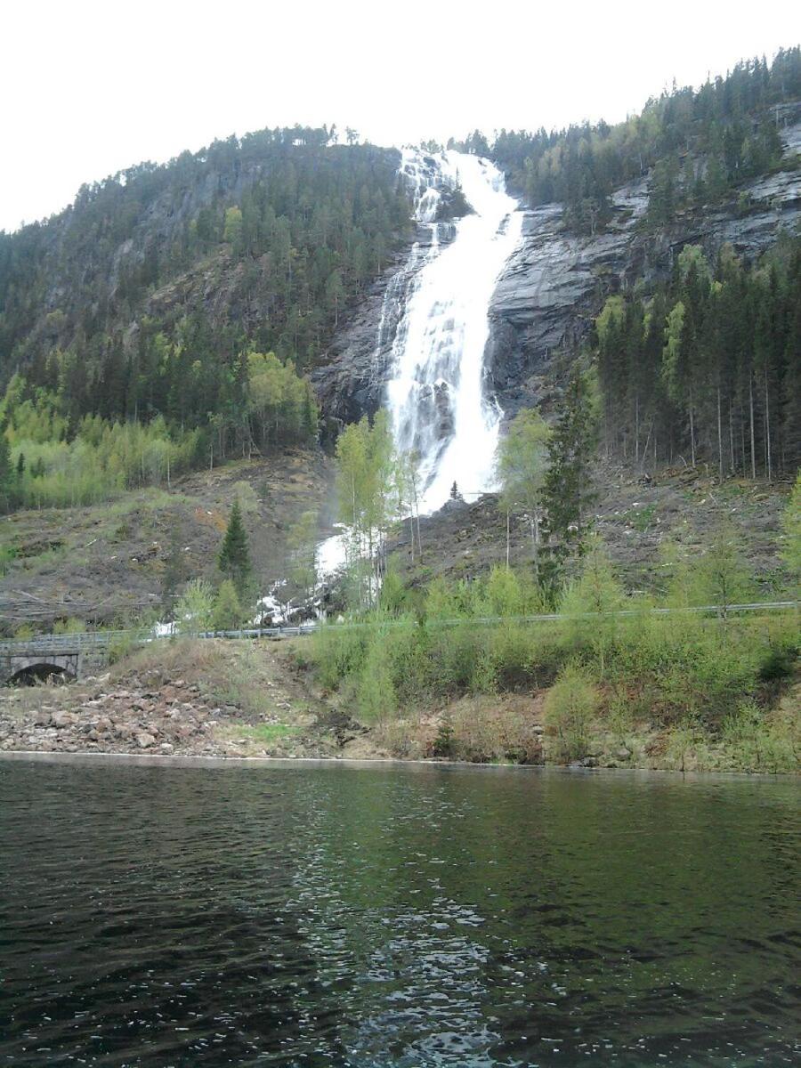 Photo 23