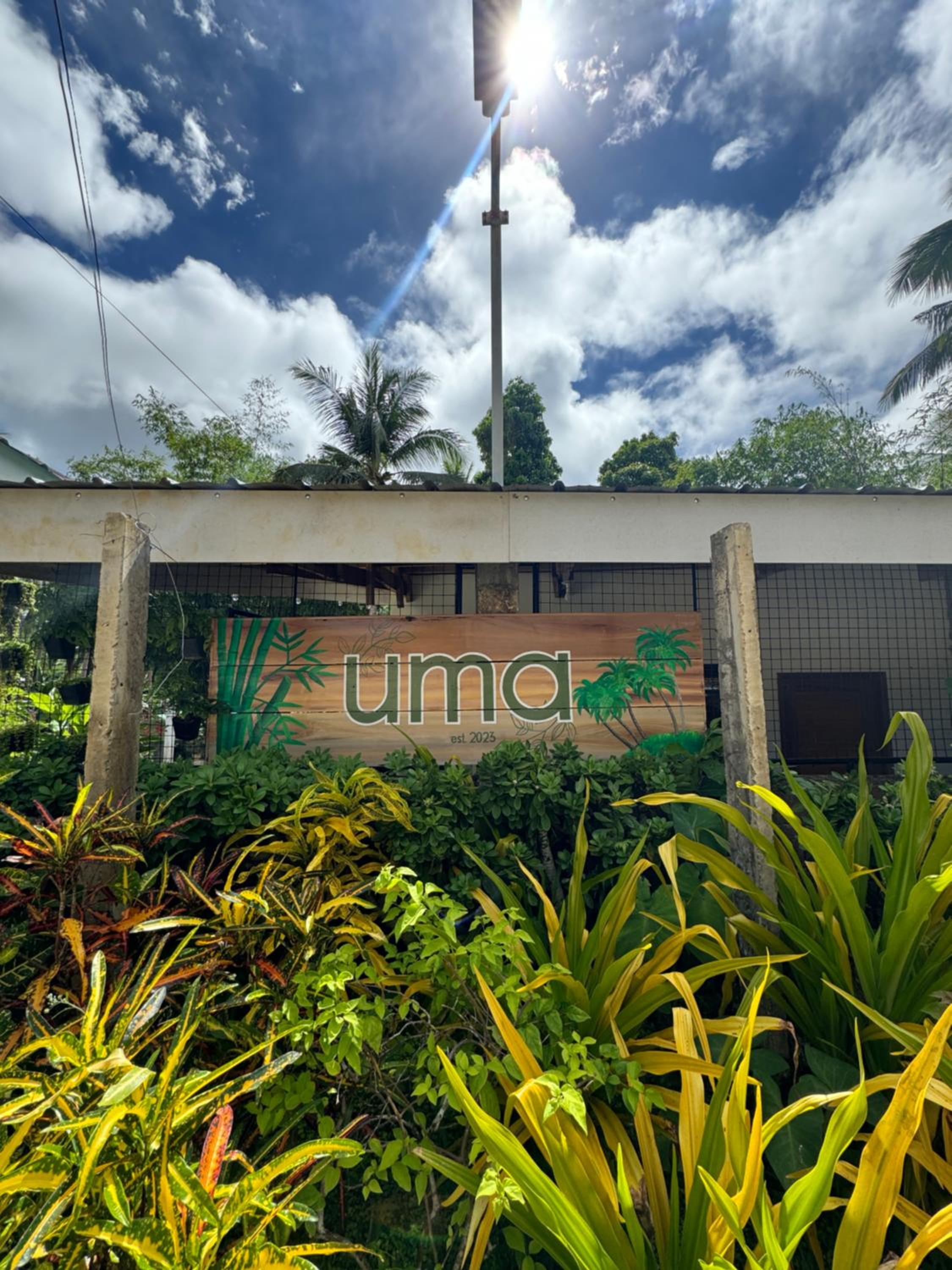 UMA