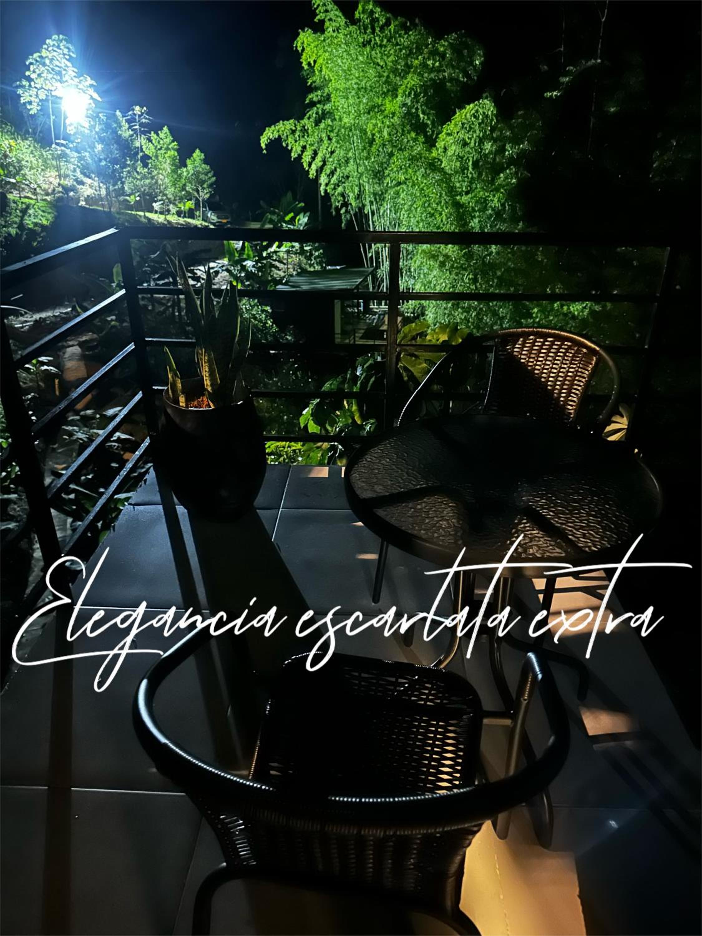 Gaia Elegancia escarlata extra 3