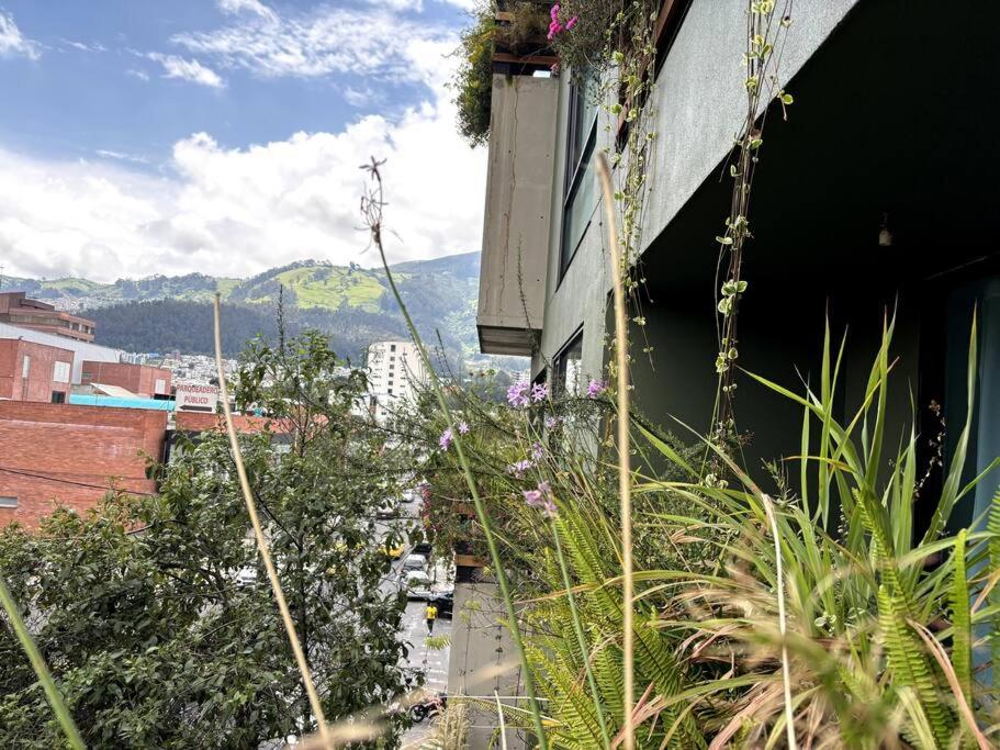 Quito Auténtica, Ecológica y Pintoresca