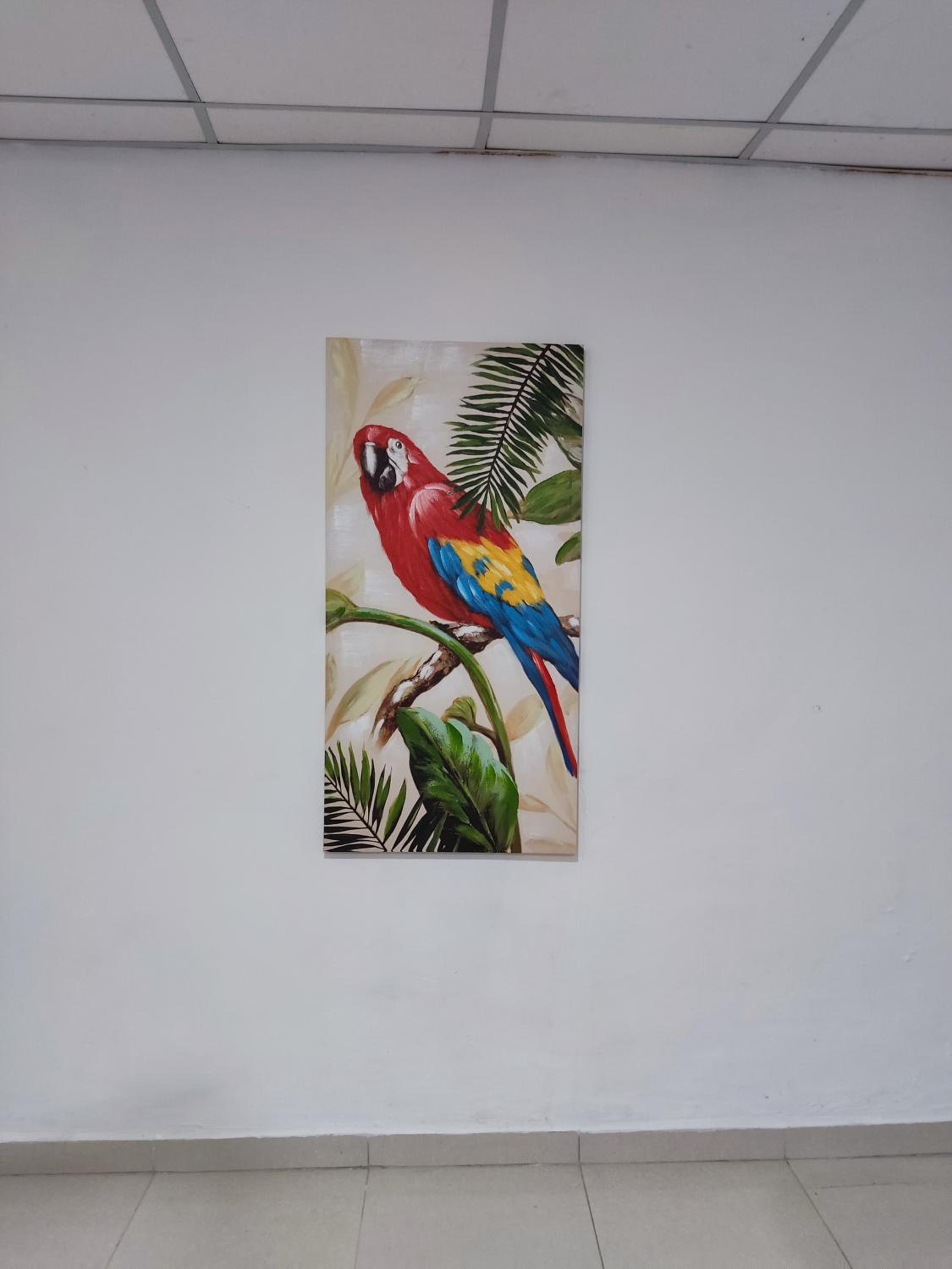 ¡Hostal Villa Lobos!, photo 30