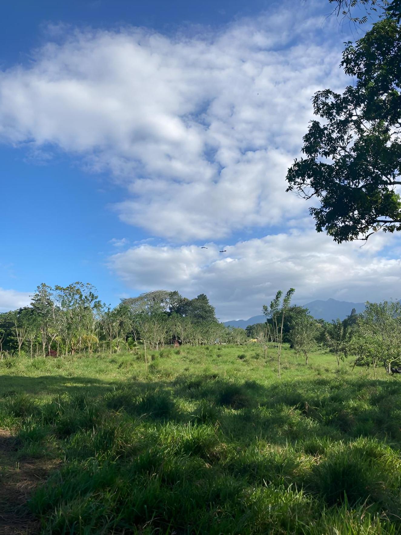 Rincón Sereno San Carlos