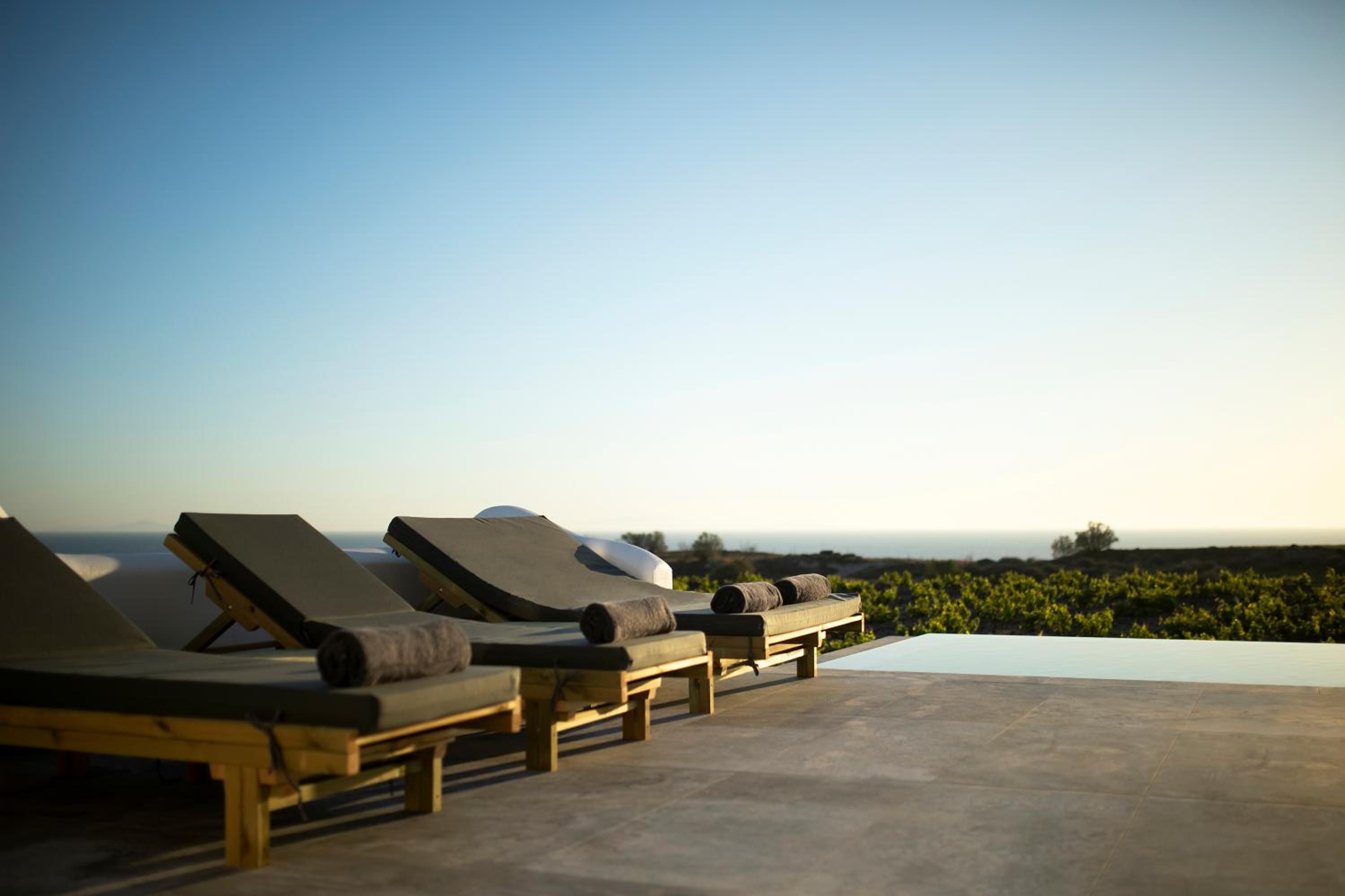 Vinebranch Villa