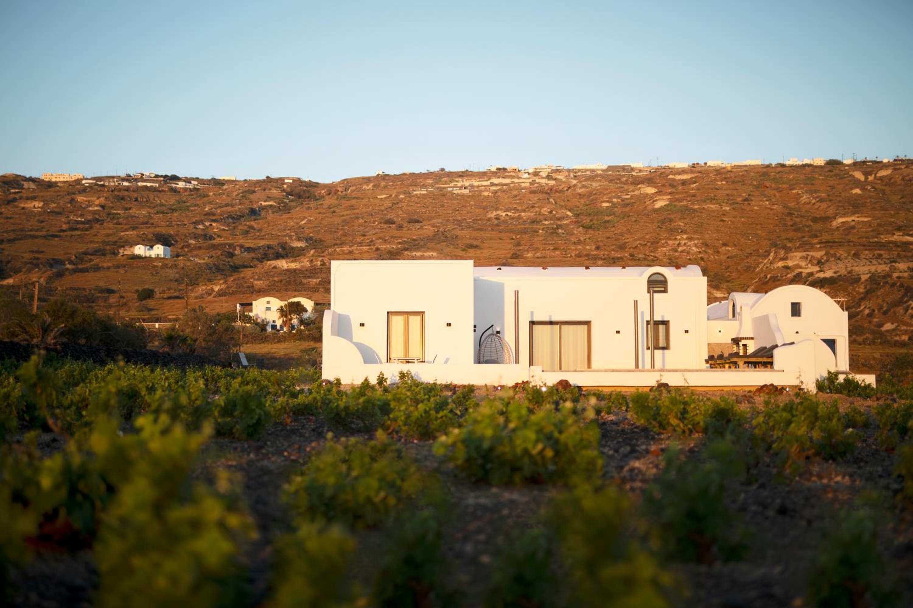 Vinebranch Villa