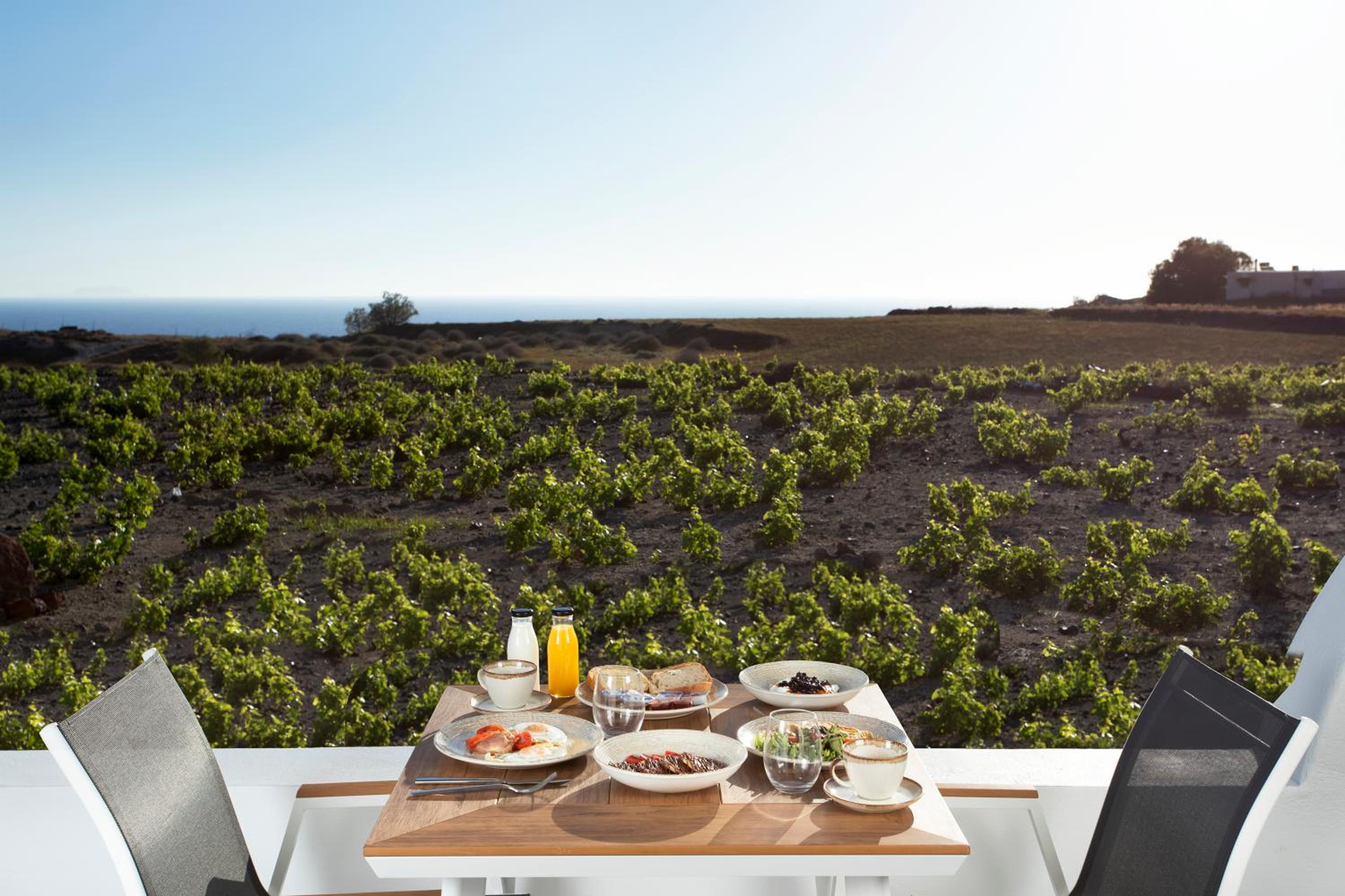 Vinebranch Villa